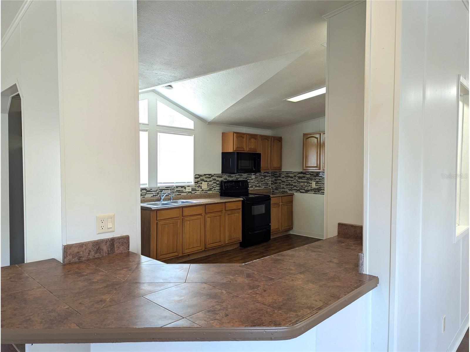 30517 Clearview Drive Wesley Chapel FL 33545 TB8528898 image27