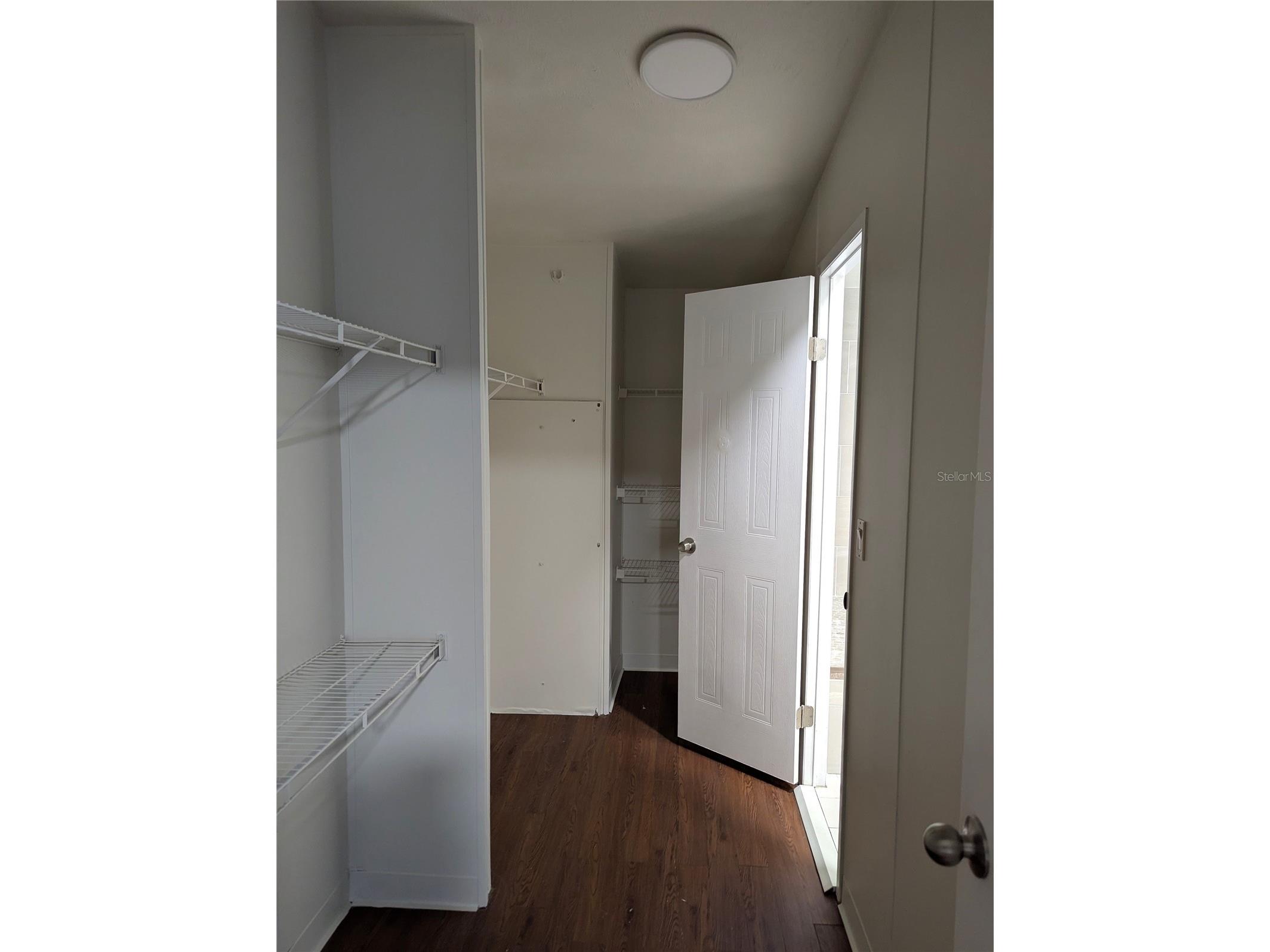 30517 Clearview Drive Wesley Chapel FL 33545 TB8528898 image31