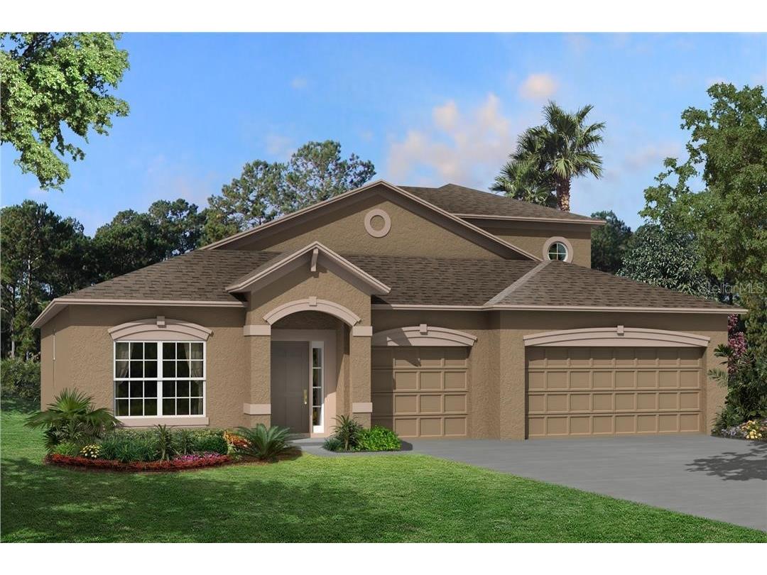 3052 King Fern Drive Wimauma FL 33598 T3457117 image1