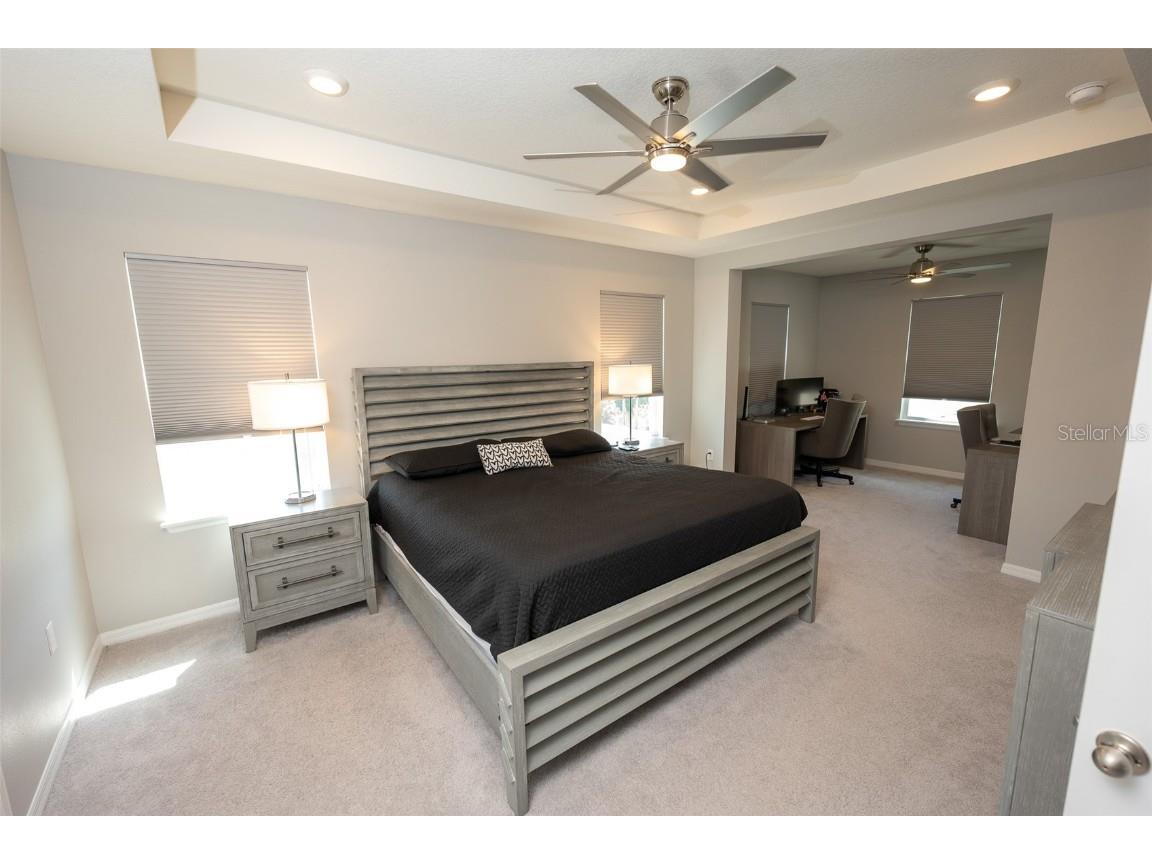 3052 Living Coral Drive Odessa FL 33556 TB8401451 image37