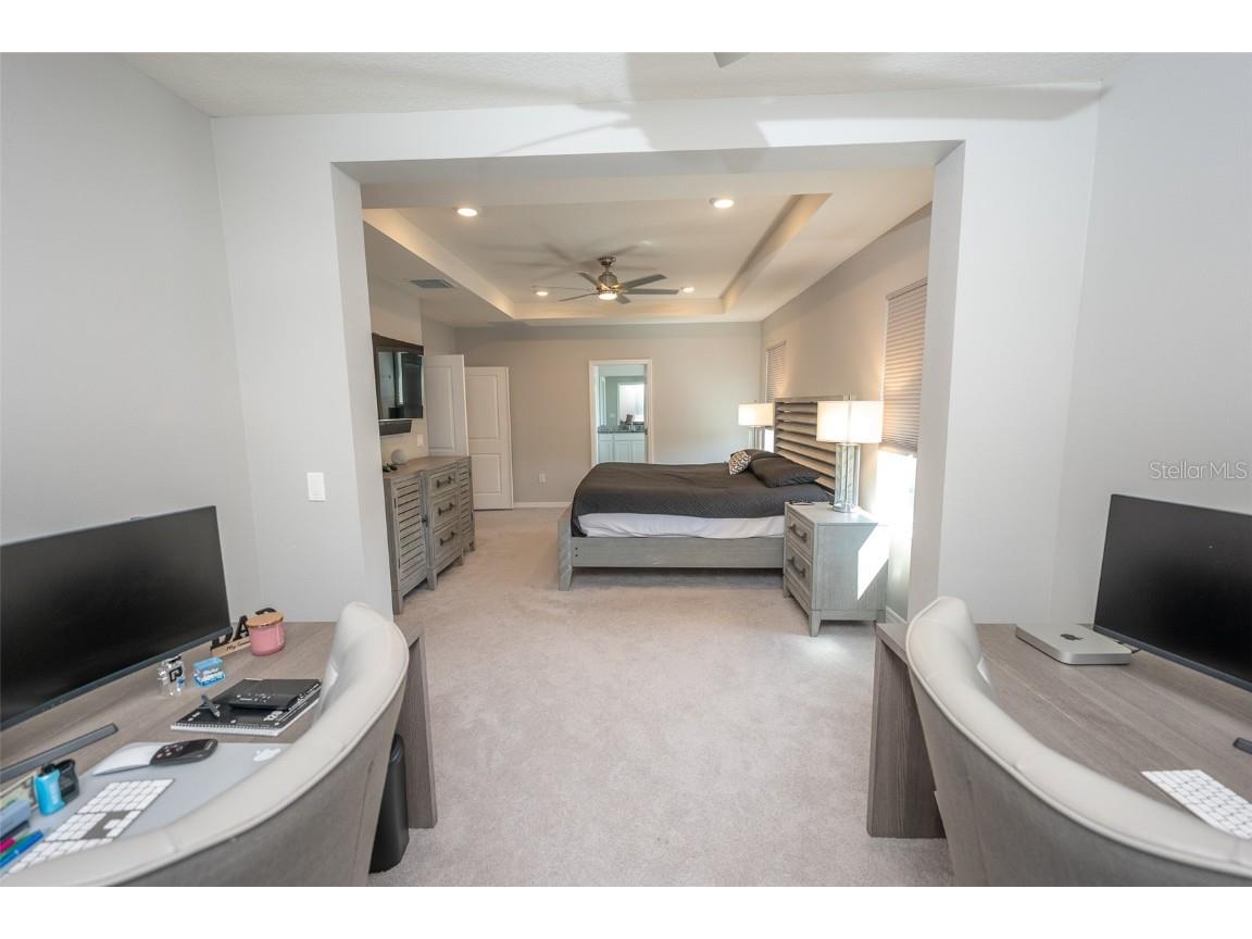 3052 Living Coral Drive Odessa FL 33556 TB8401451 image38