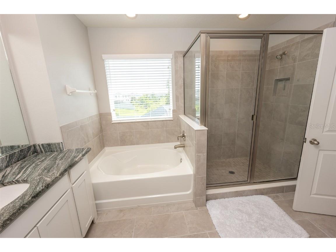 3052 Living Coral Drive Odessa FL 33556 TB8401451 image41