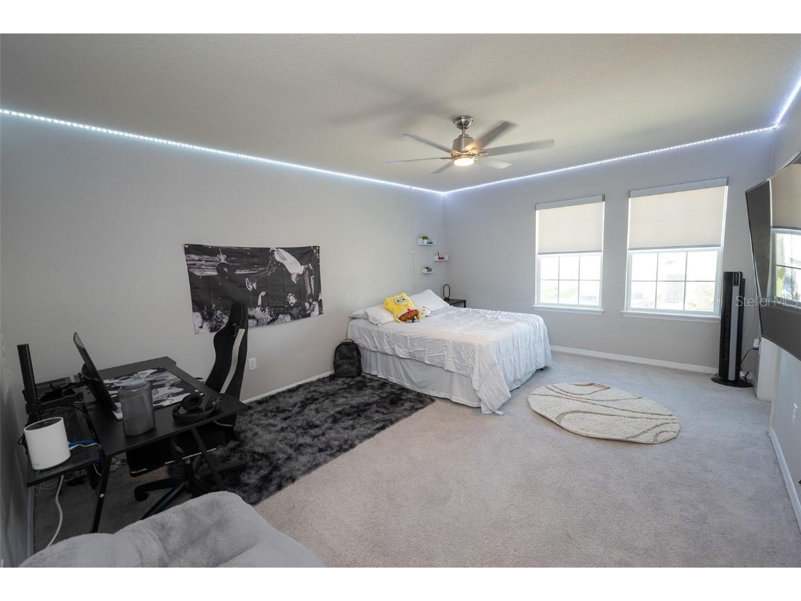 3052 Living Coral Drive Odessa FL 33556 TB8401451 image51