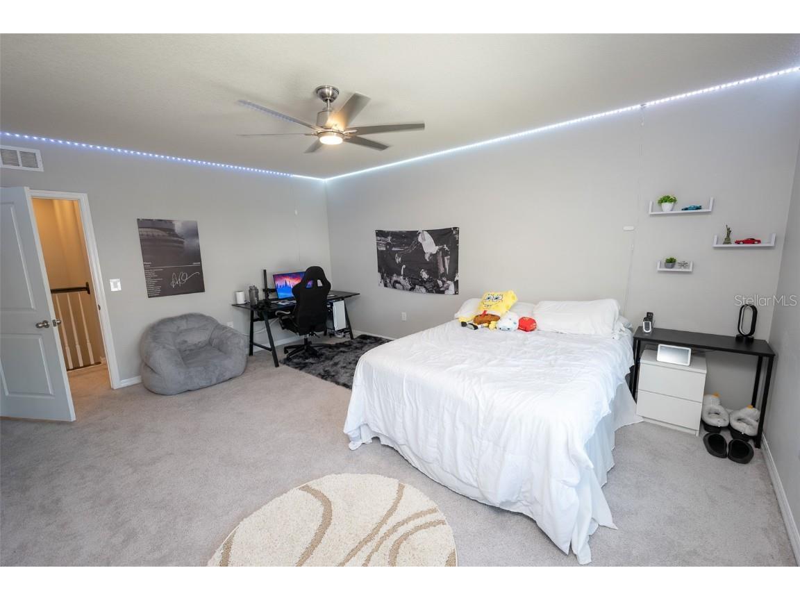 3052 Living Coral Drive Odessa FL 33556 TB8401451 image52