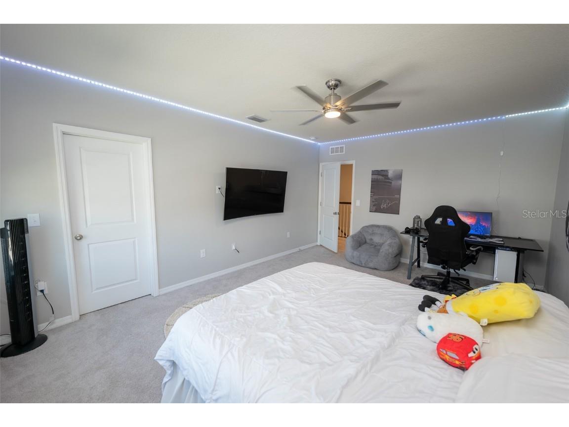 3052 Living Coral Drive Odessa FL 33556 TB8401451 image53