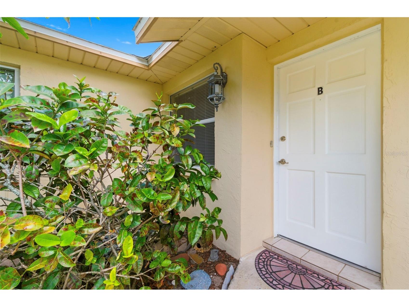 3052 Park Lane #B Dunedin FL 34698 W7885634 image5