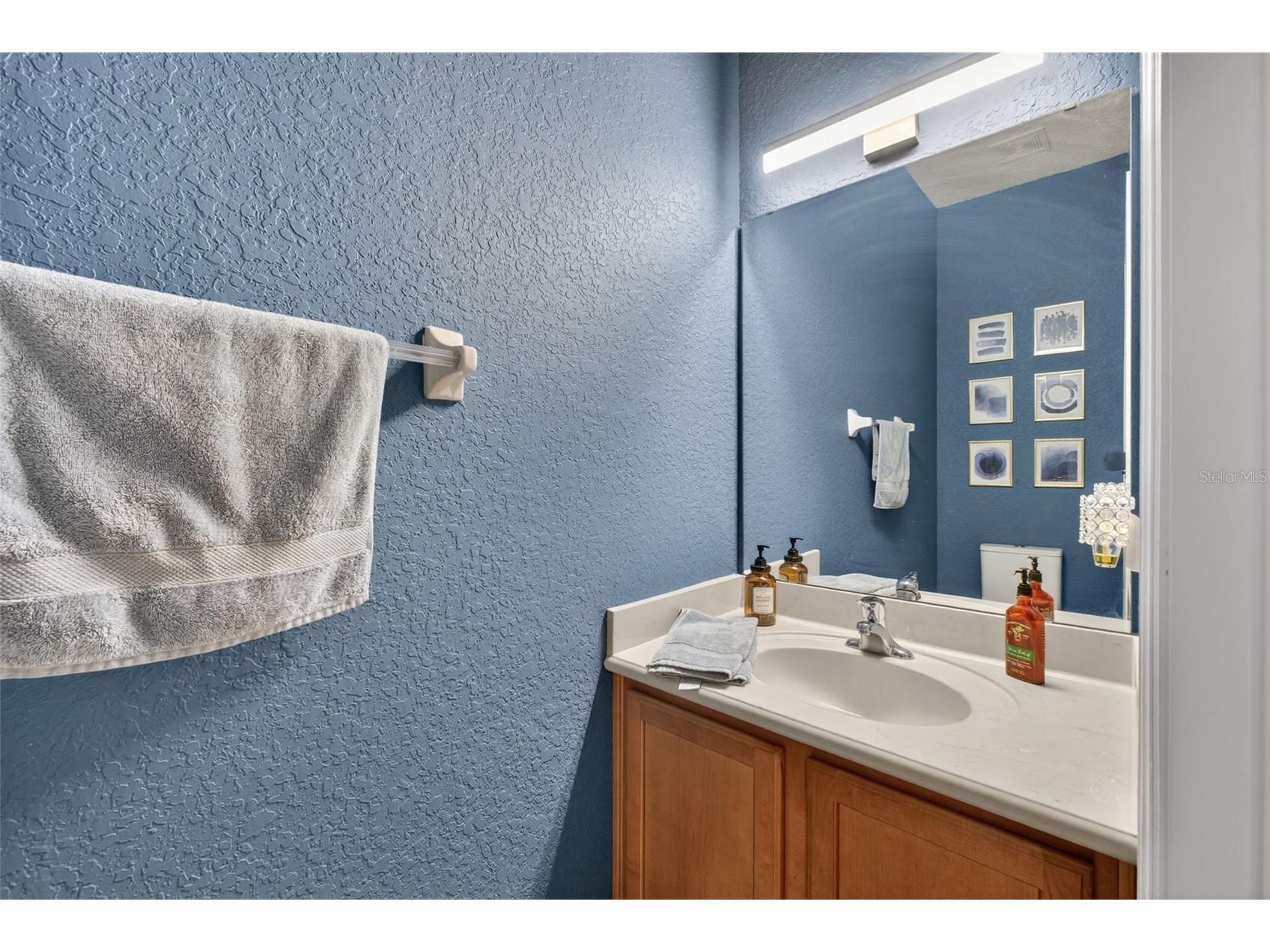 3052 Rising Mist Court Kissimmee FL 34744 O6381553 image16