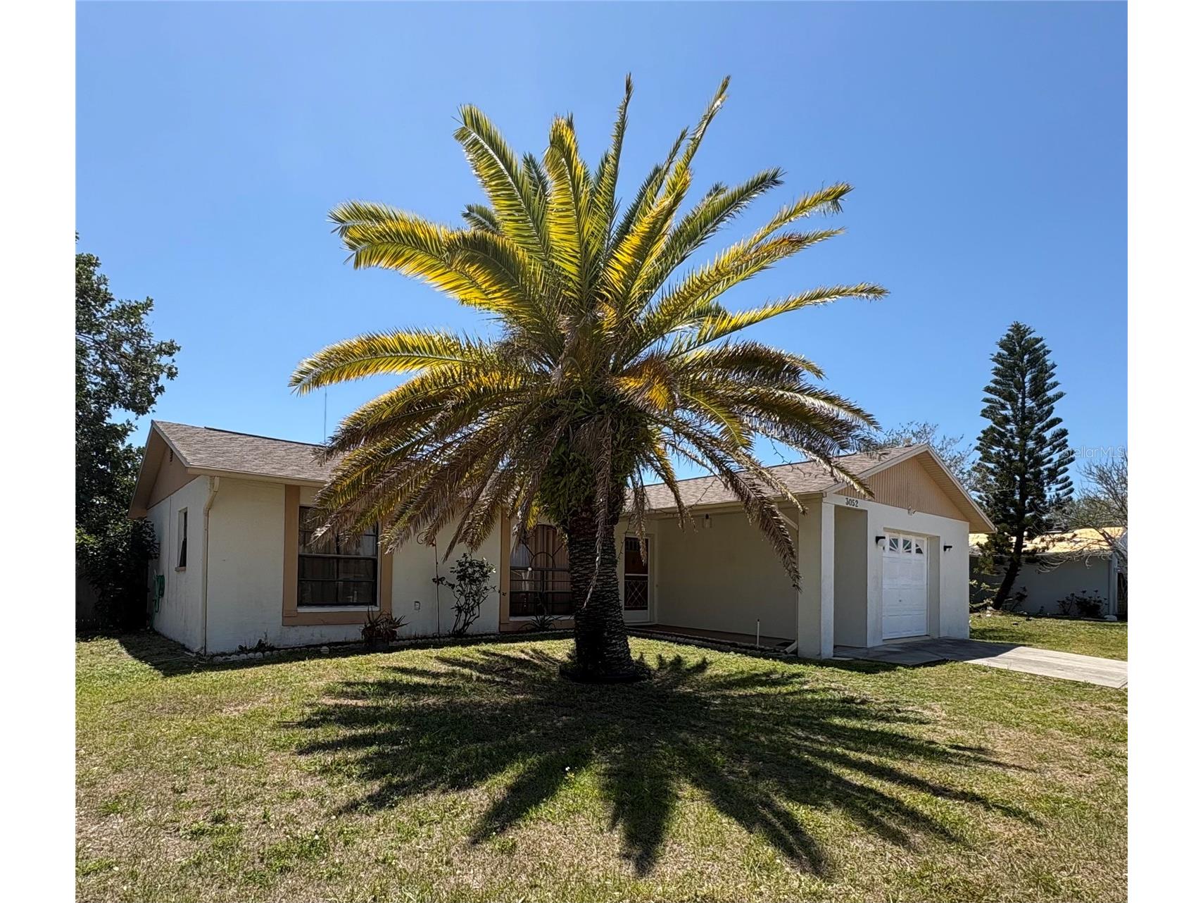 3052 Salton Street Holiday FL 34691 TB8493940 image2