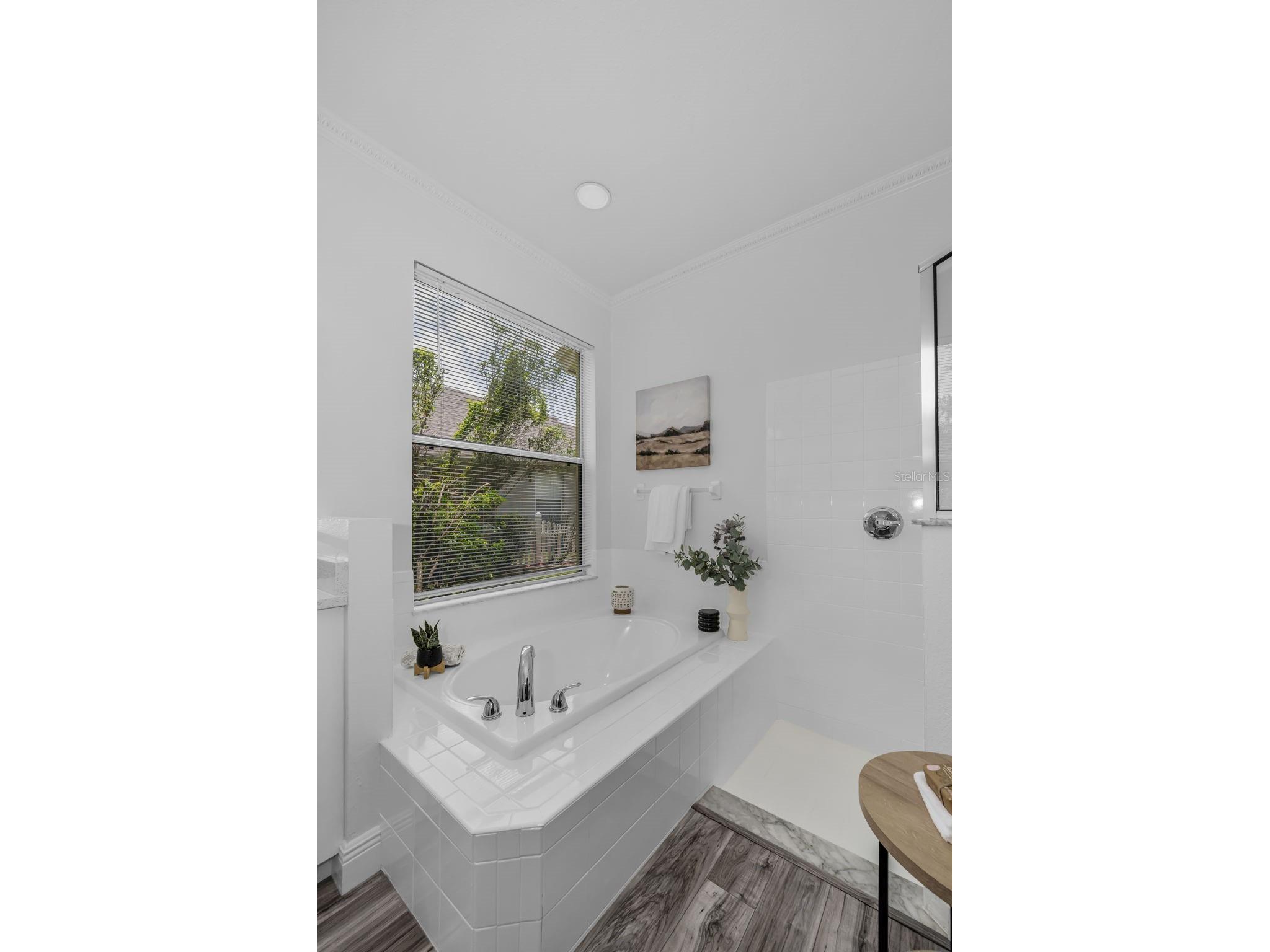 3052 Sunwatch Drive Wesley Chapel FL 33544 TB8526313 image20