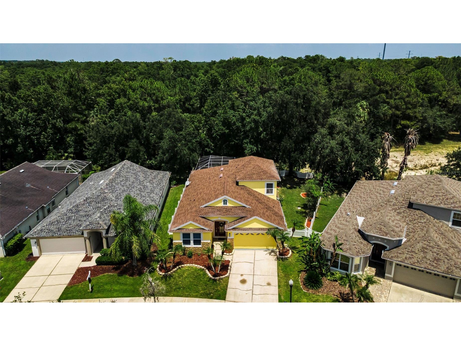 3052 Sunwatch Drive Wesley Chapel FL 33544 TB8526313 image52
