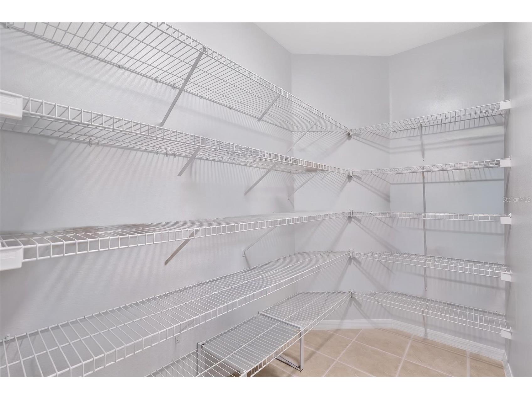 30524 Lanesborough Circle Wesley Chapel FL 33543 TB8530474 image16
