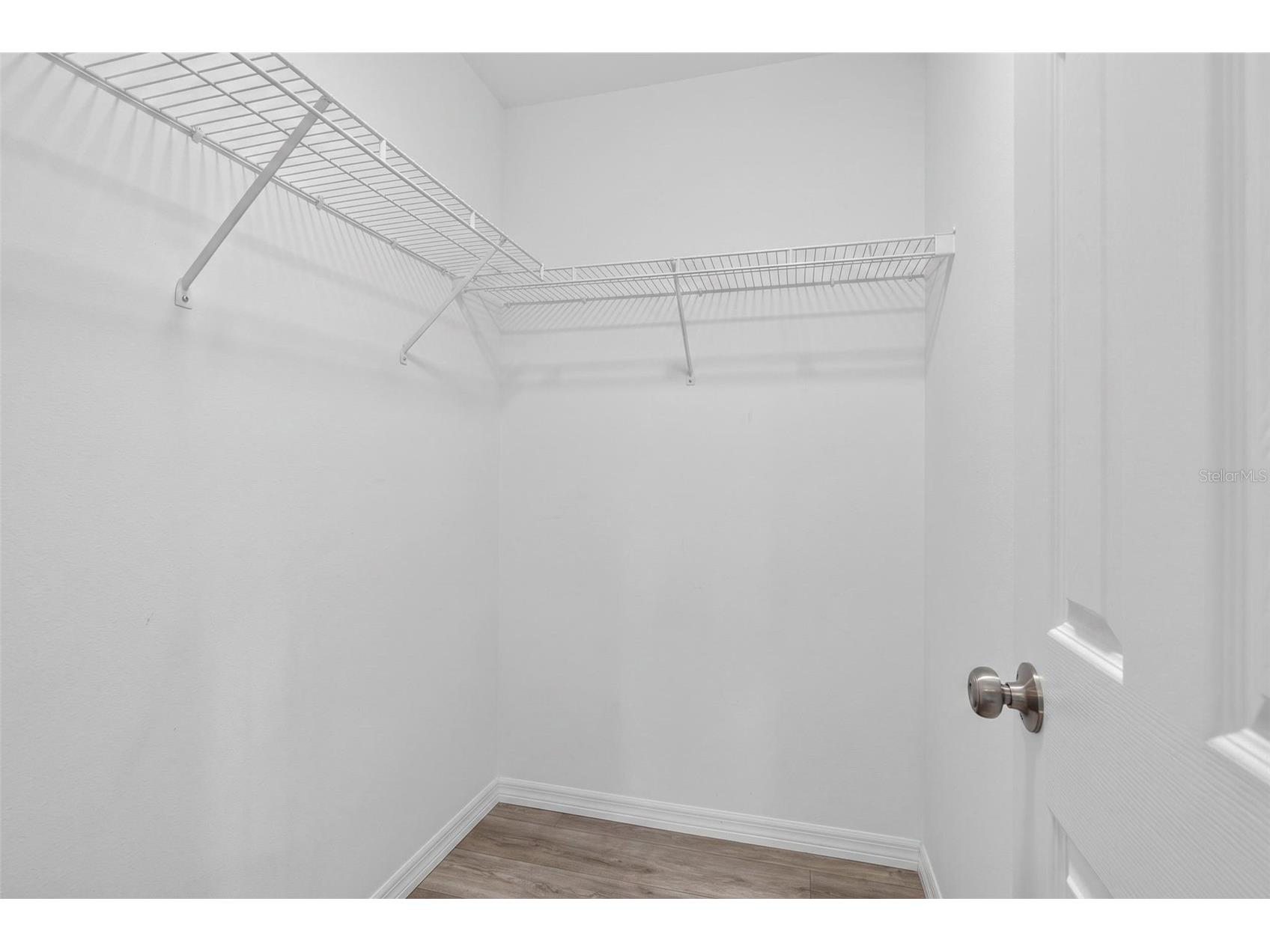 30524 Lanesborough Circle Wesley Chapel FL 33543 TB8530474 image28