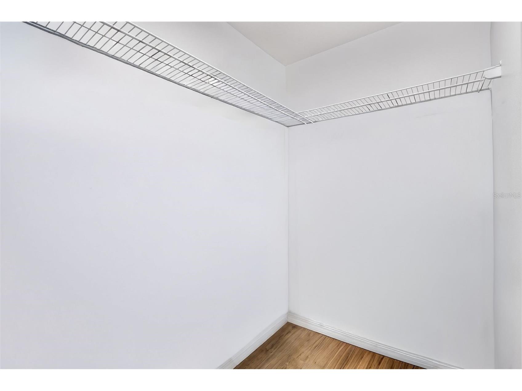 30524 Lanesborough Circle Wesley Chapel FL 33543 TB8530474 image35