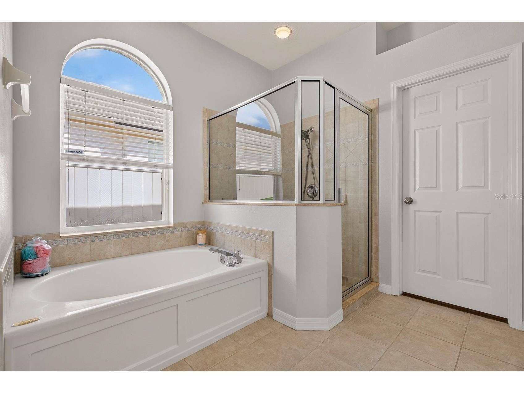 30524 Lanesborough Circle Wesley Chapel FL 33543 TB8530474 image40