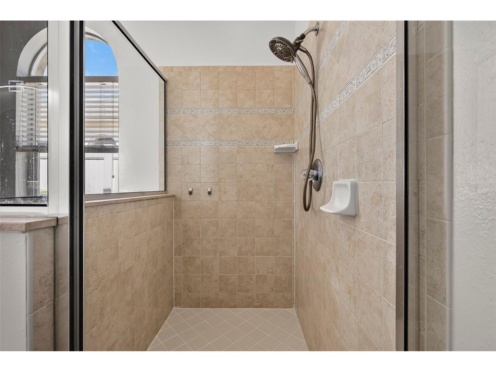 30524 Lanesborough Circle Wesley Chapel FL 33543 TB8530474 image41