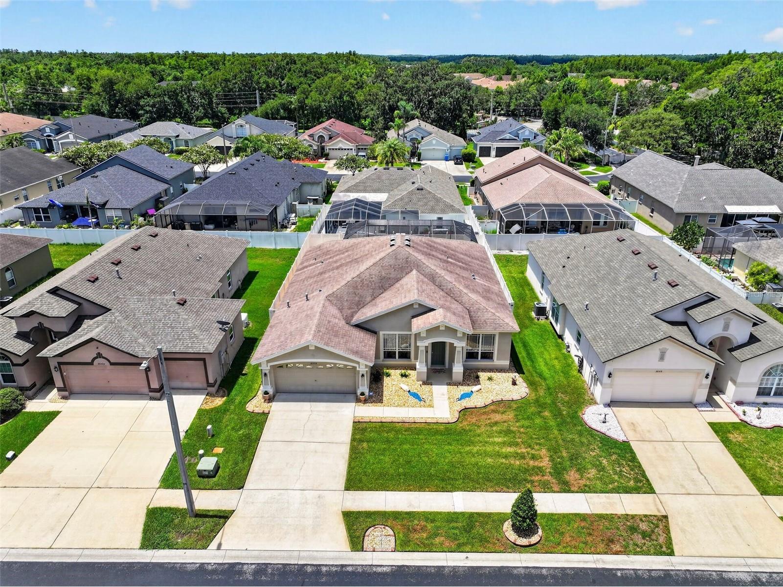 30524 Lanesborough Circle Wesley Chapel FL 33543 TB8530474 image53