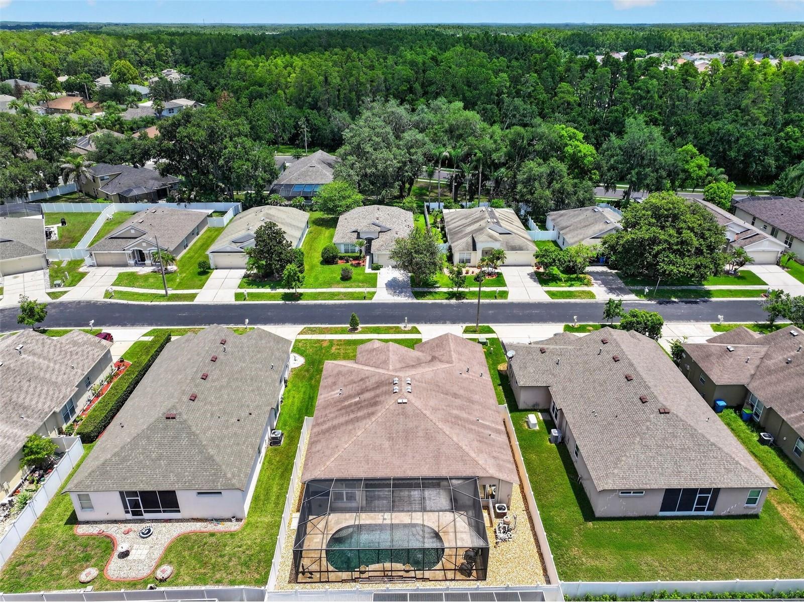 30524 Lanesborough Circle Wesley Chapel FL 33543 TB8530474 image55