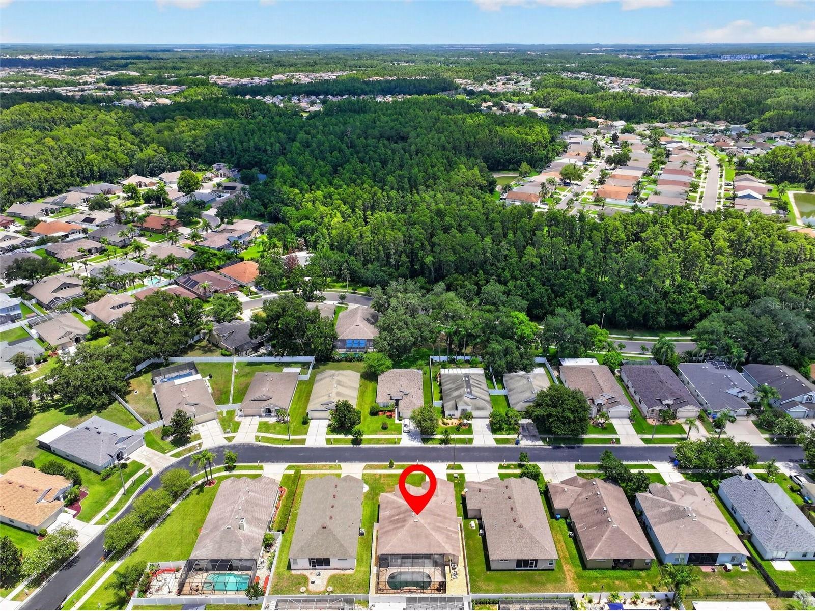 30524 Lanesborough Circle Wesley Chapel FL 33543 TB8530474 image57
