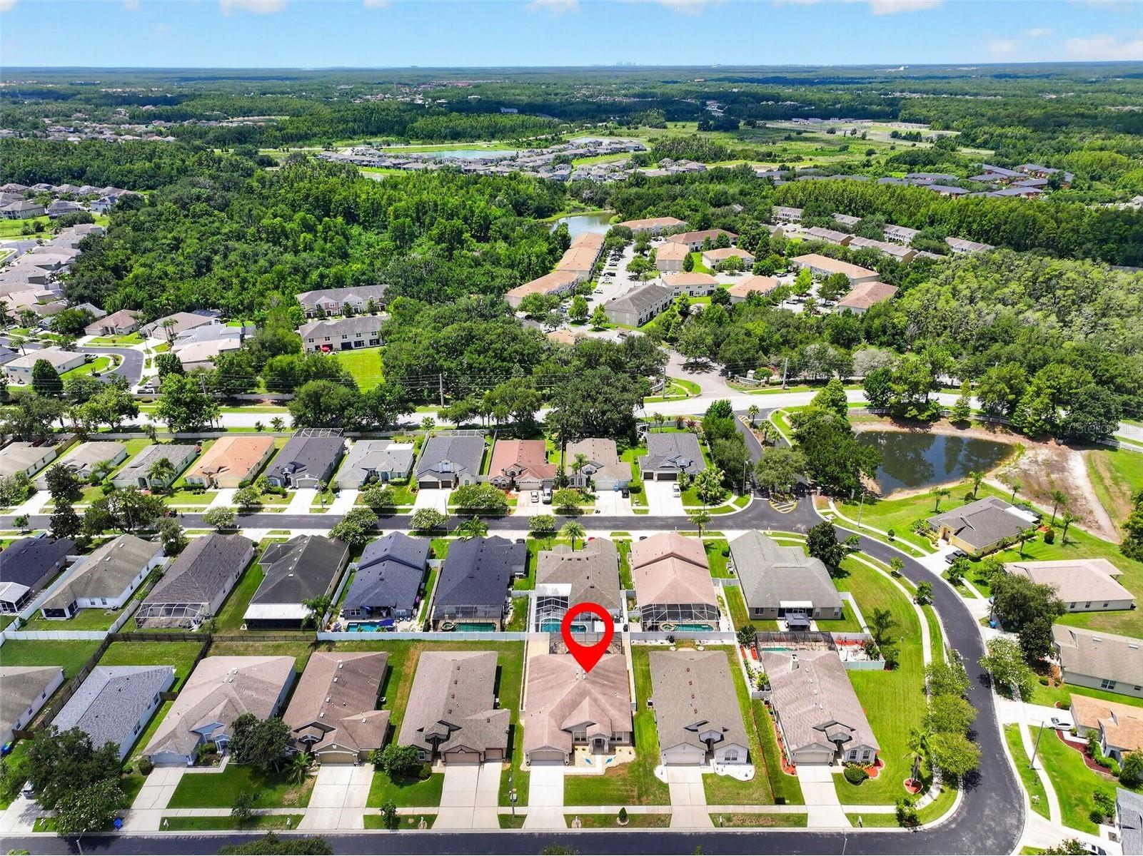 30524 Lanesborough Circle Wesley Chapel FL 33543 TB8530474 image59