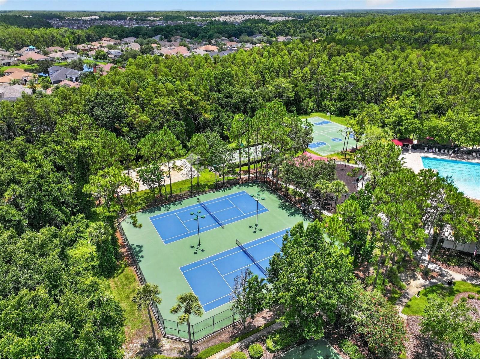 30524 Lanesborough Circle Wesley Chapel FL 33543 TB8530474 image61