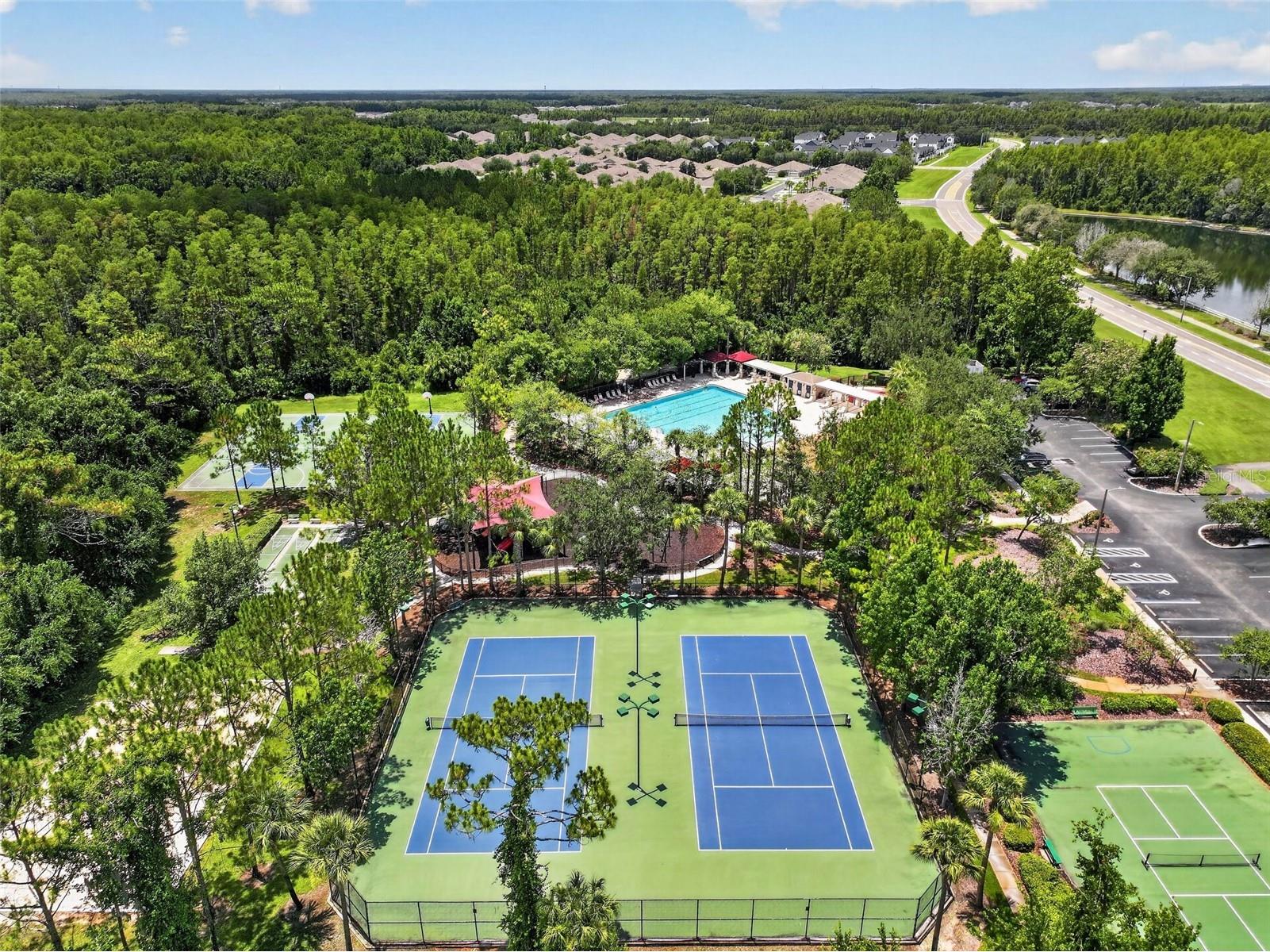 30524 Lanesborough Circle Wesley Chapel FL 33543 TB8530474 image62