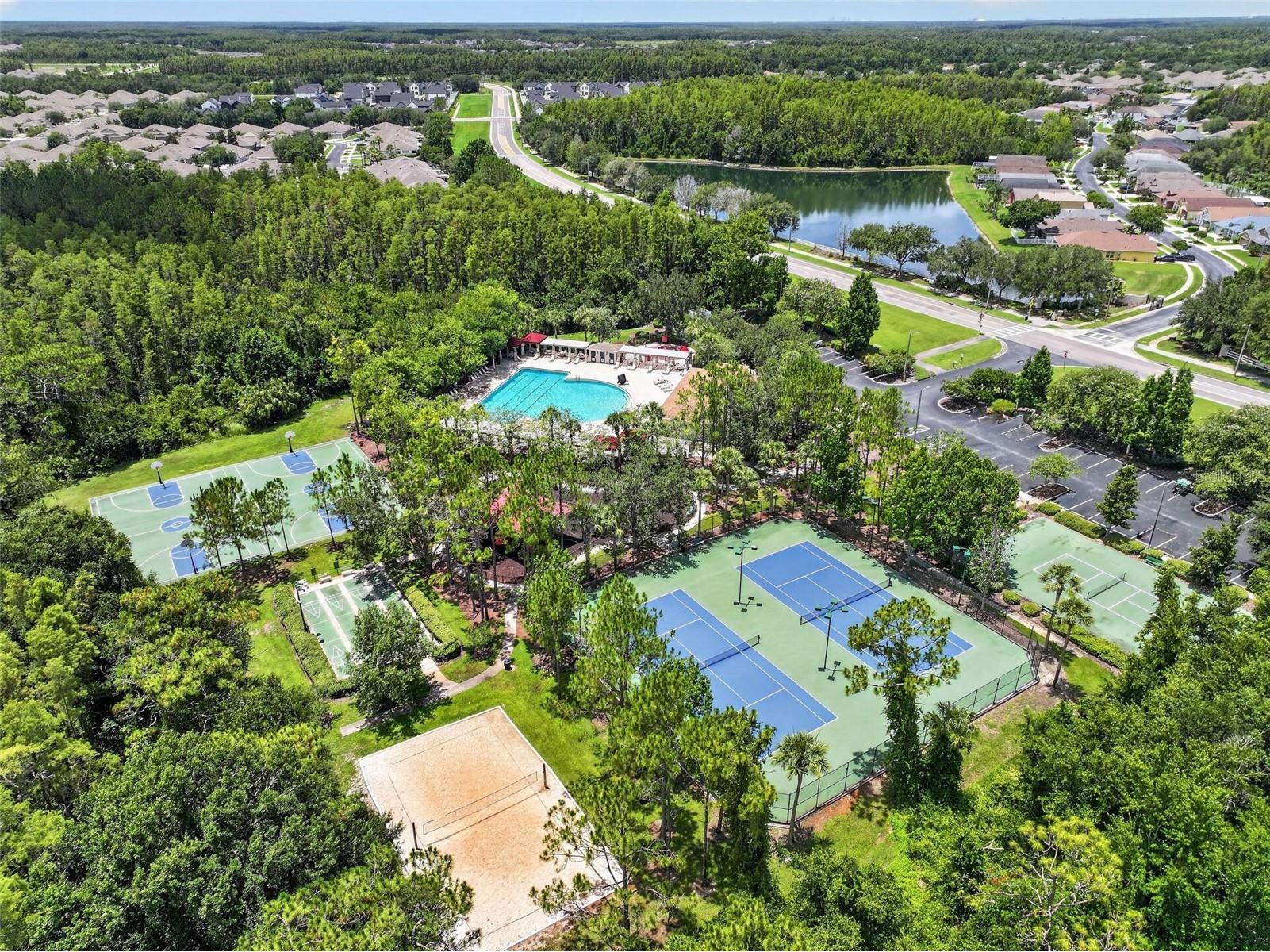 30524 Lanesborough Circle Wesley Chapel FL 33543 TB8530474 image63