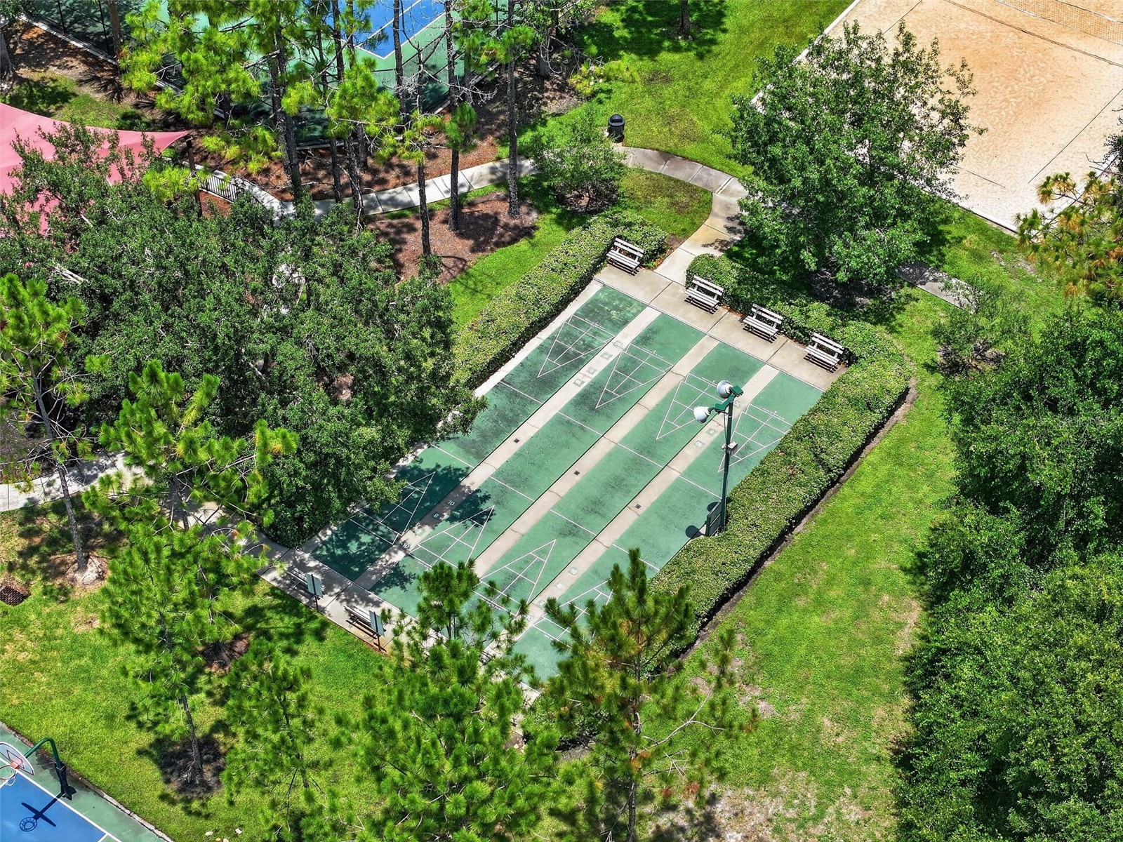 30524 Lanesborough Circle Wesley Chapel FL 33543 TB8530474 image67