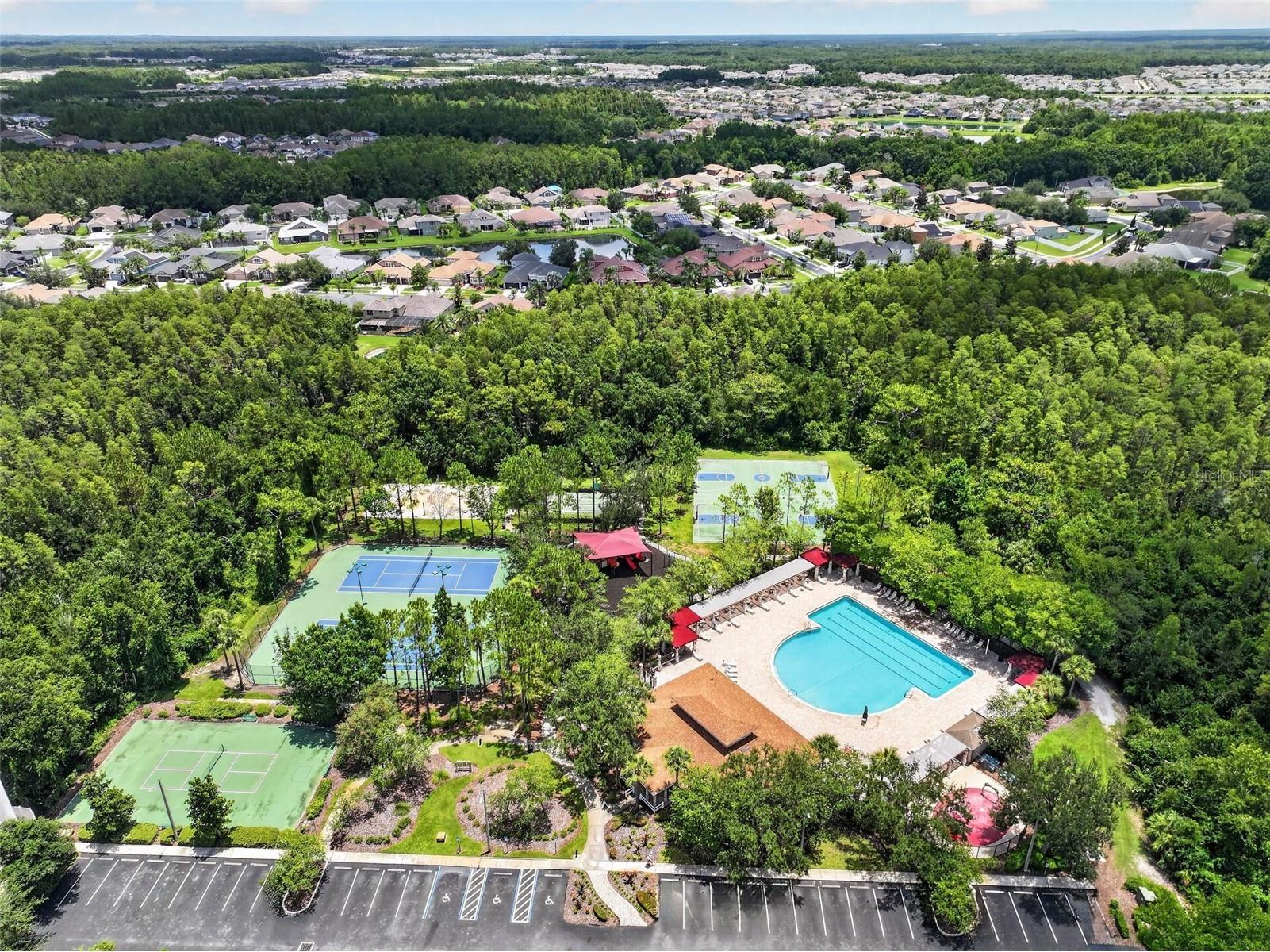 30524 Lanesborough Circle Wesley Chapel FL 33543 TB8530474 image69