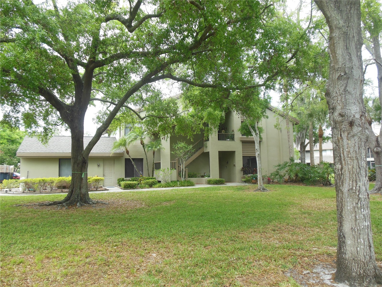 3053 Landmark Boulevard #1107 Palm Harbor FL 34684 TB8492946 image1