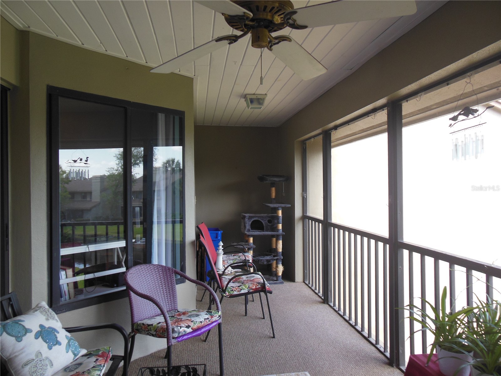 3053 Landmark Boulevard #1107 Palm Harbor FL 34684 TB8492946 image10