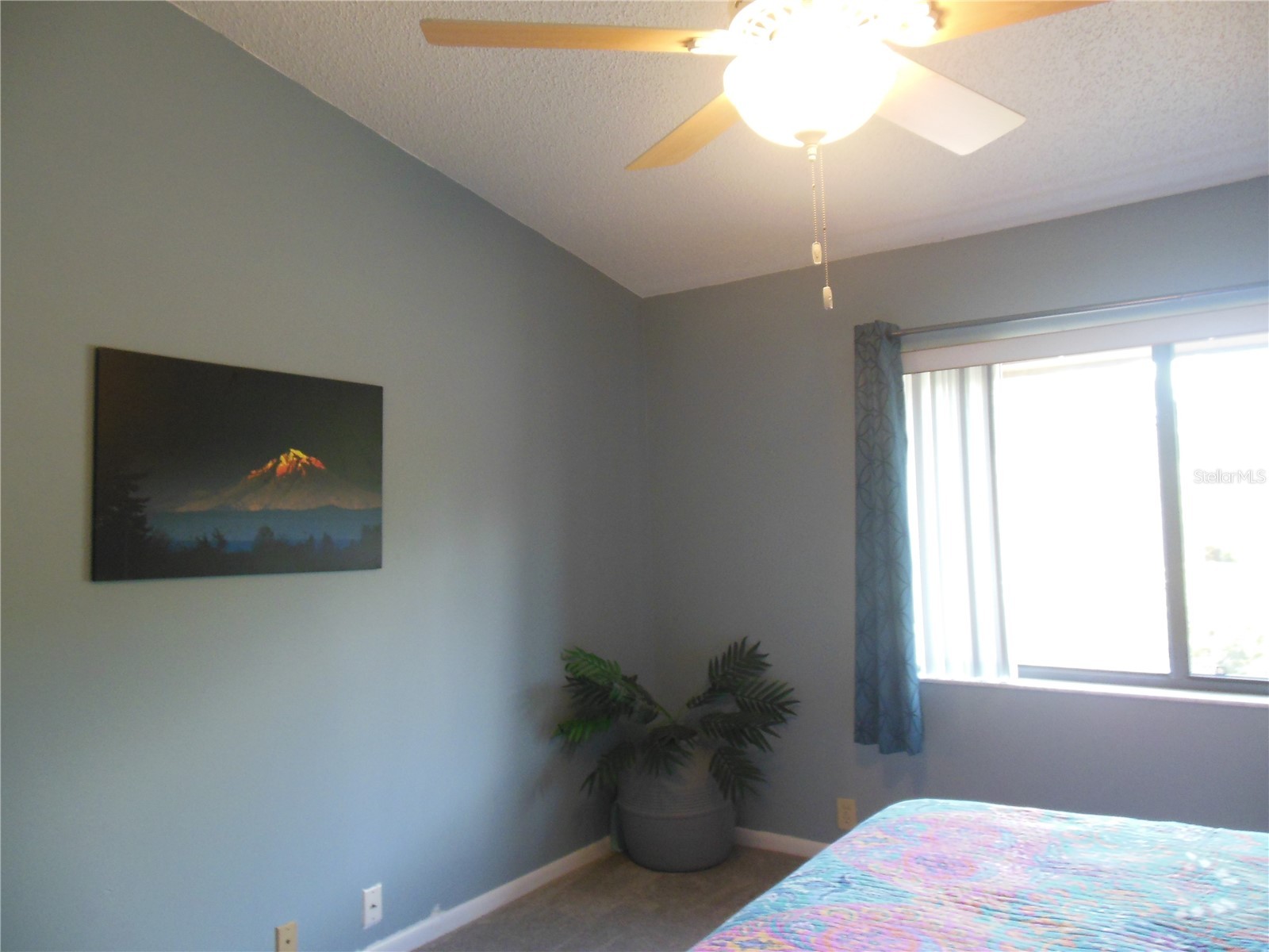 3053 Landmark Boulevard #1107 Palm Harbor FL 34684 TB8492946 image23