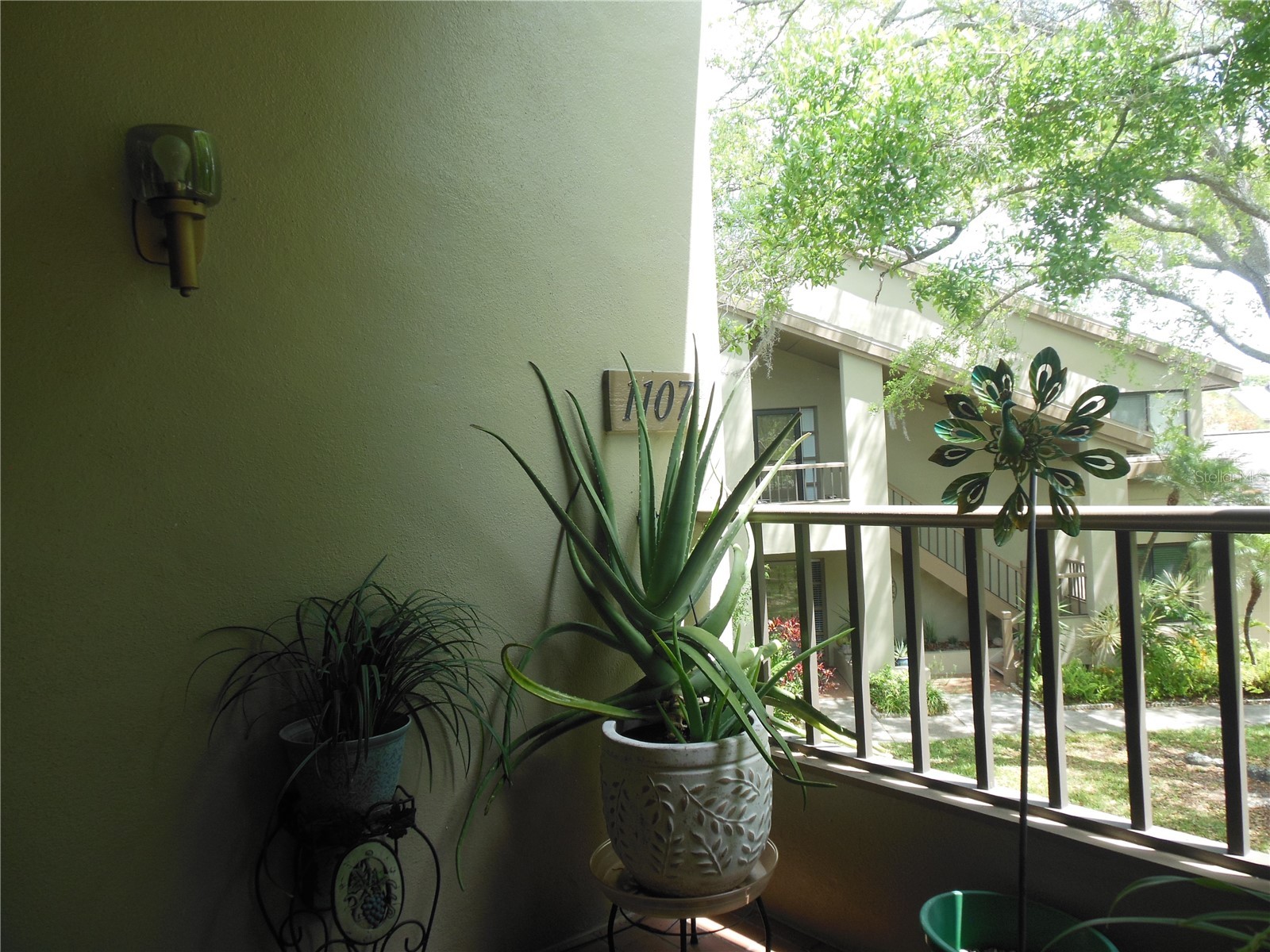 3053 Landmark Boulevard #1107 Palm Harbor FL 34684 TB8492946 image30