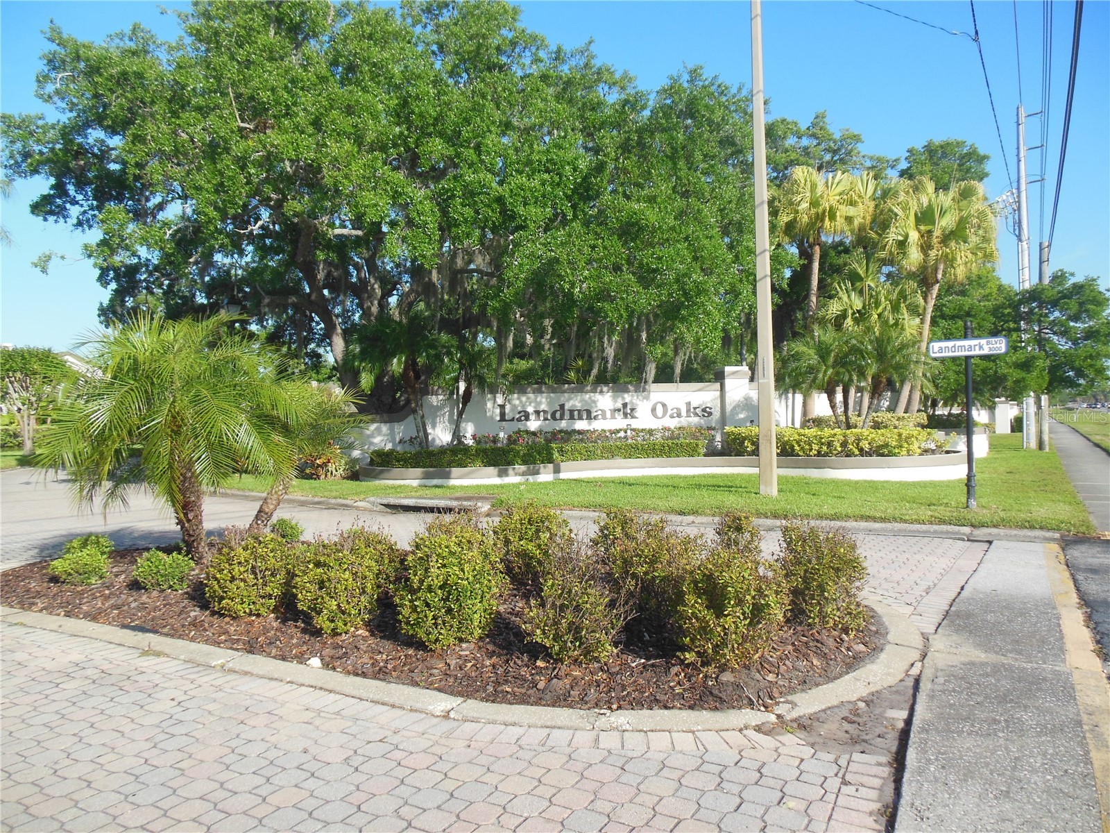3053 Landmark Boulevard #1107 Palm Harbor FL 34684 TB8492946 image38