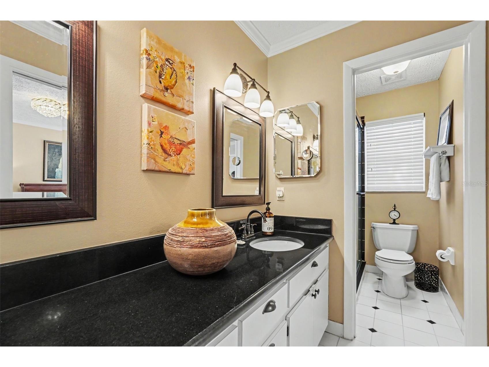 3053 S Concordia Avenue #A Tampa FL 33629 TB8513244 image19