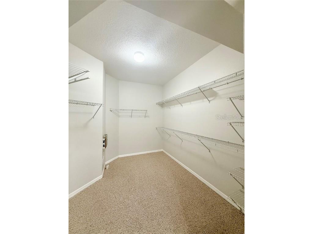 30533 Lettingwell Circle Wesley Chapel FL 33543 TB8426655 image9