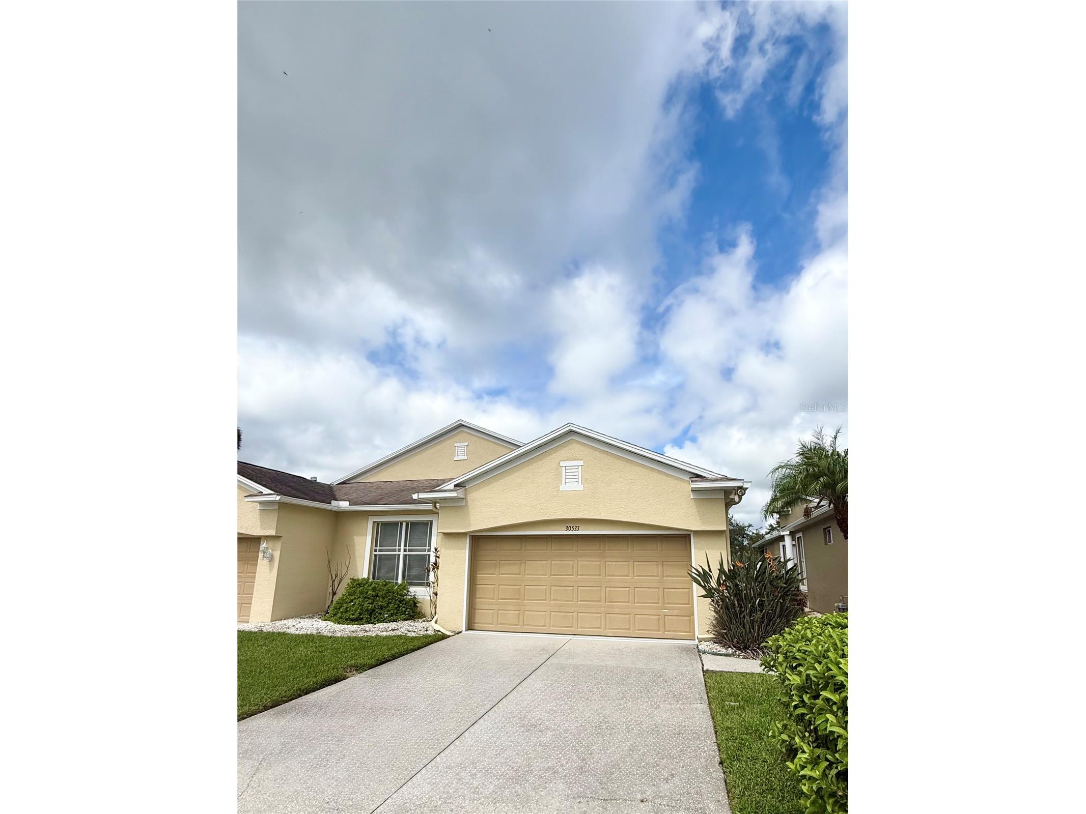 30533 Lettingwell Circle Wesley Chapel FL 33543 TB8527550 image1