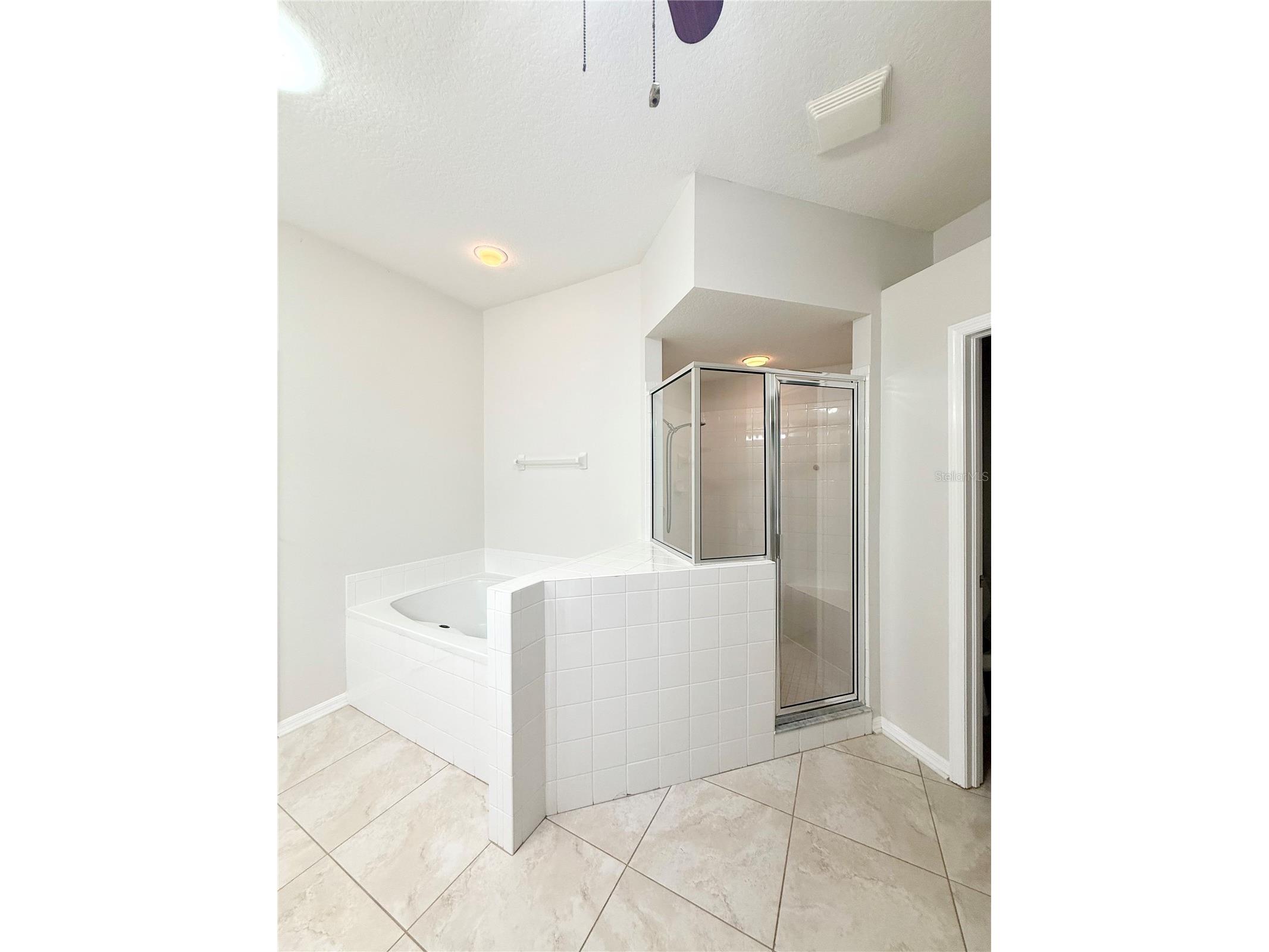 30533 Lettingwell Circle Wesley Chapel FL 33543 TB8527550 image10