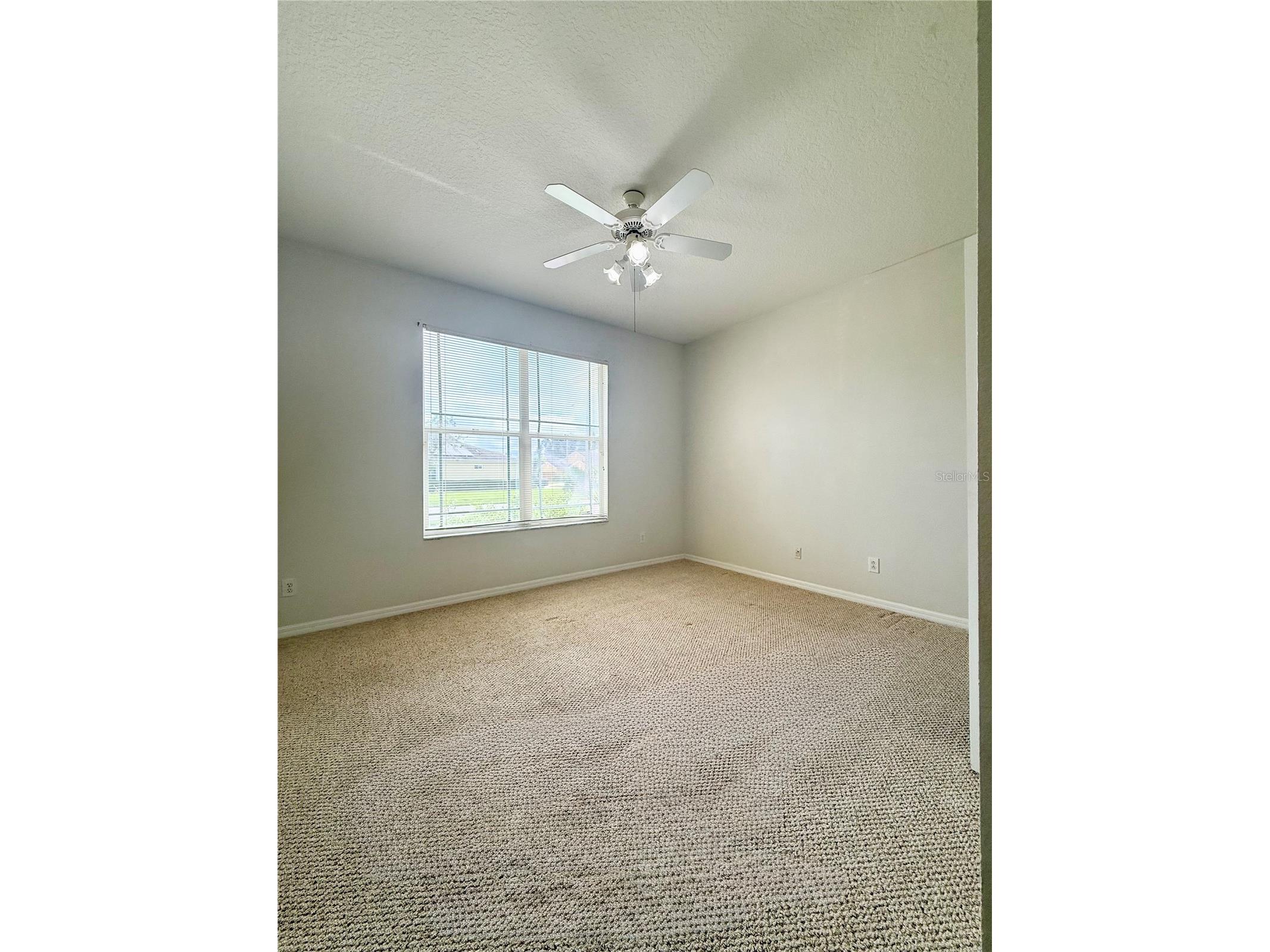 30533 Lettingwell Circle Wesley Chapel FL 33543 TB8527550 image13