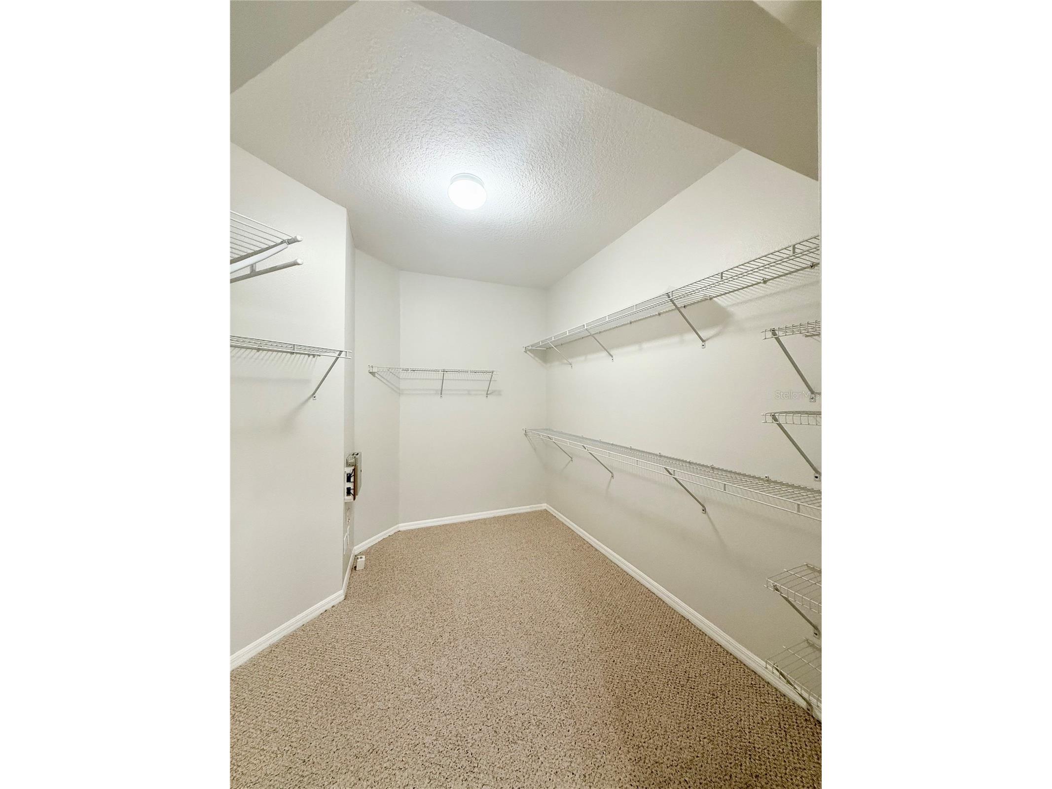 30533 Lettingwell Circle Wesley Chapel FL 33543 TB8527550 image8