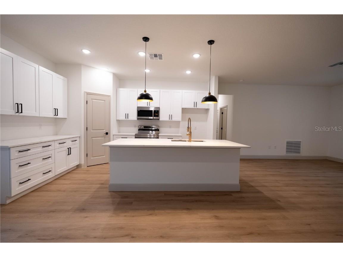 30536 Hoylake Street Sorrento FL 32776 O6355703 image5