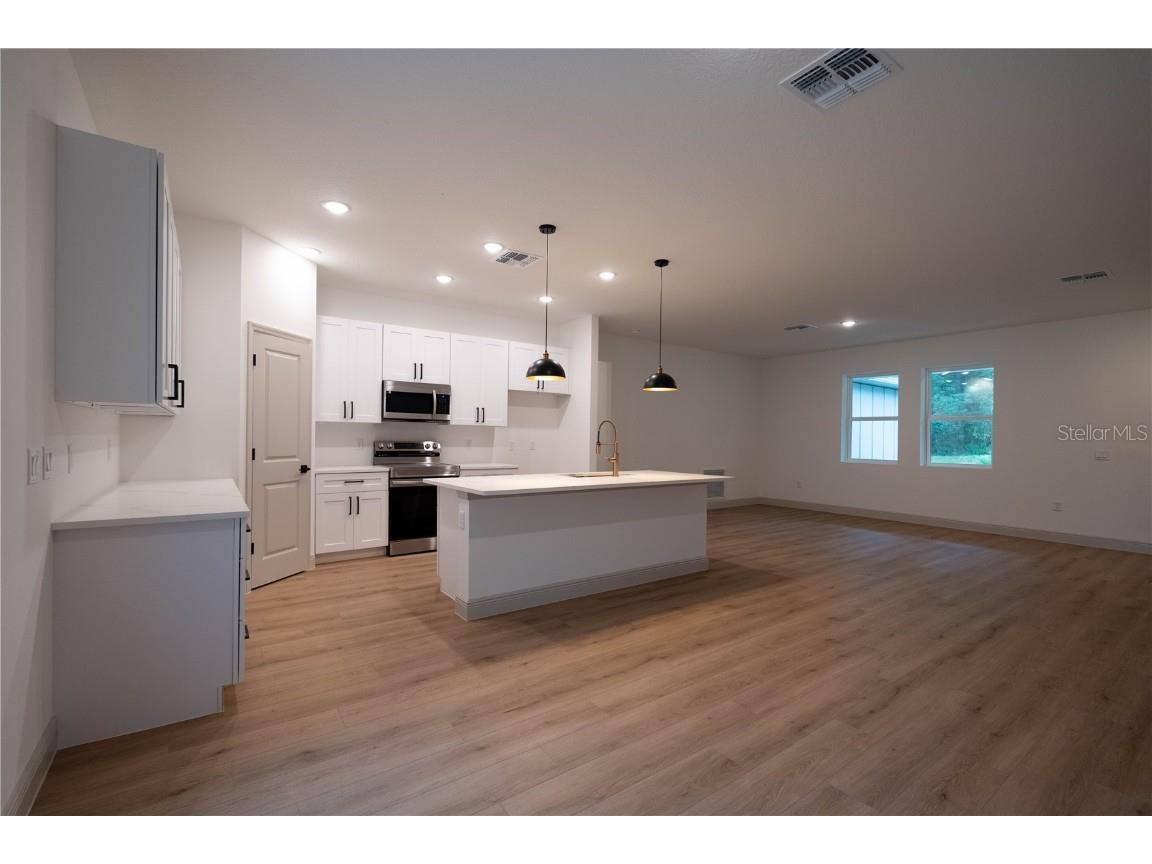 30536 Hoylake Street Sorrento FL 32776 O6355703 image7