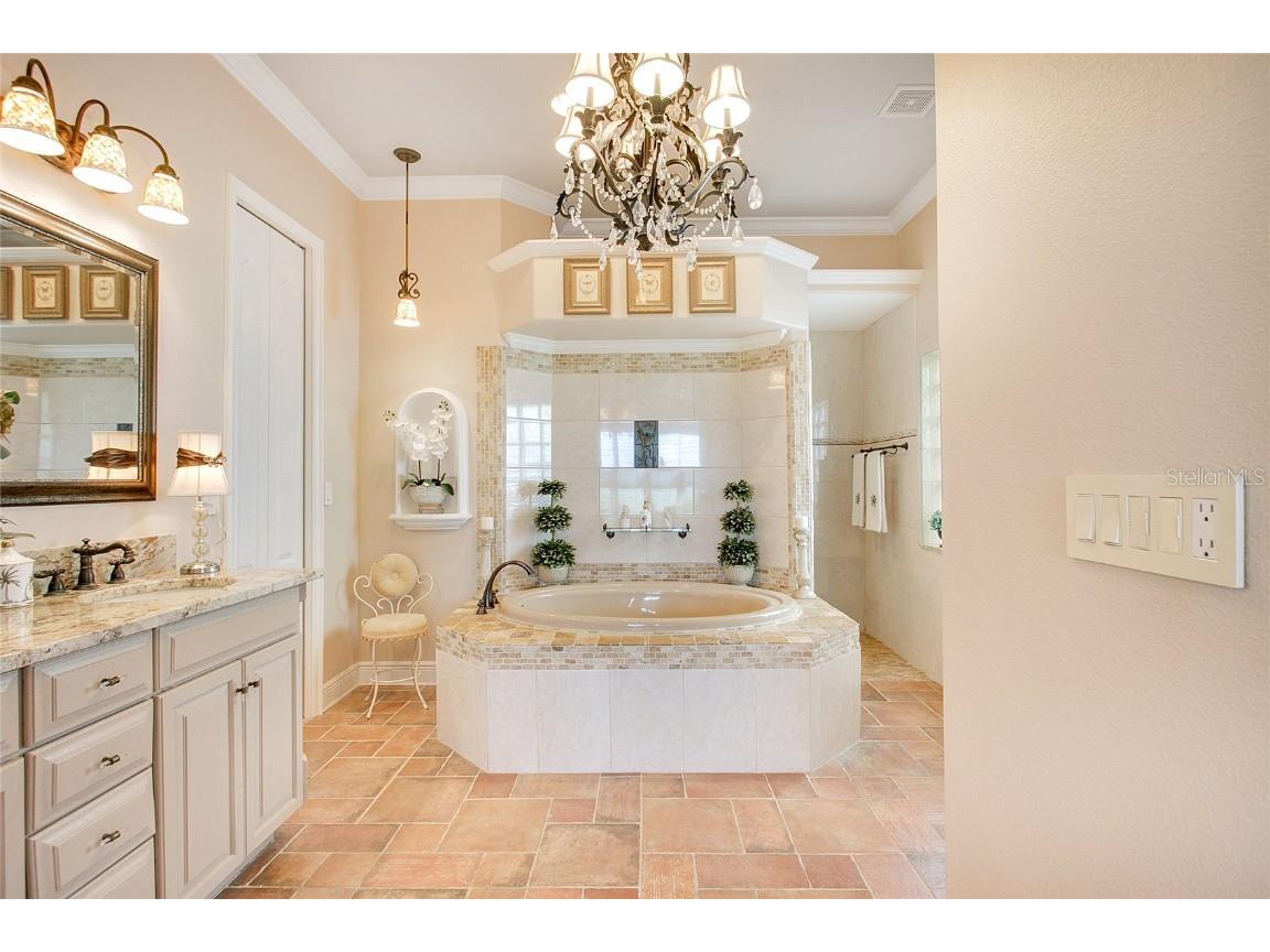 30537 Island Club Drive Deer Island FL 32778 - LAKE DORA & BEAUCLAIR O6329871 image15