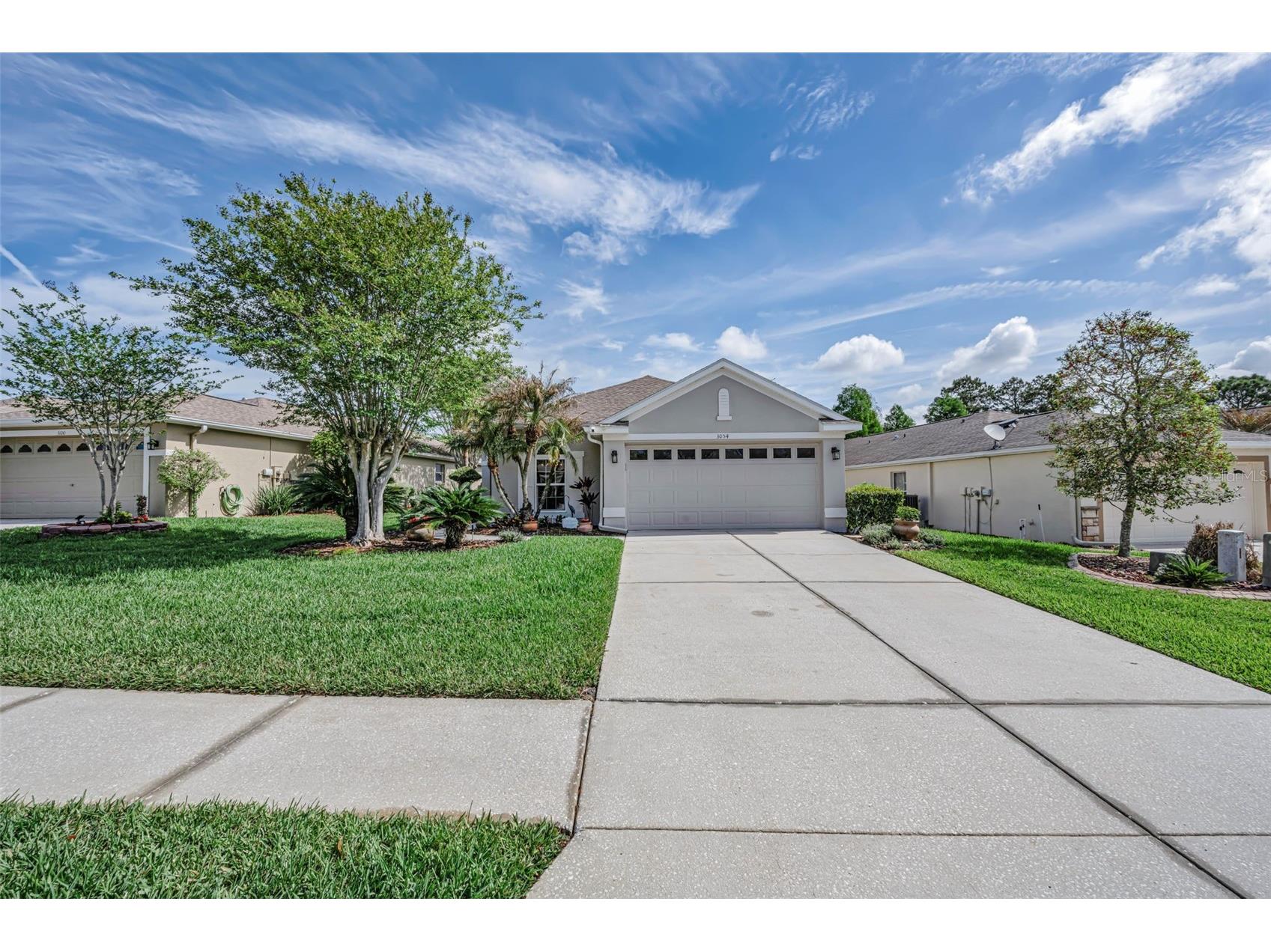3054 Banyan Hill Lane Land O Lakes FL 34639 TB8495797 image1