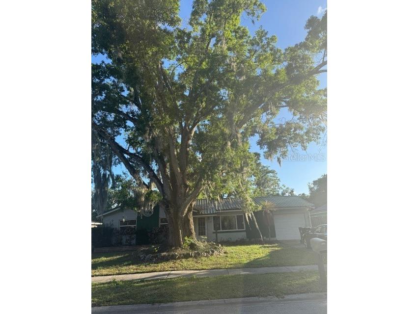 3054 Bluebrook Drive Winter Park FL 32792 O6398450 image1