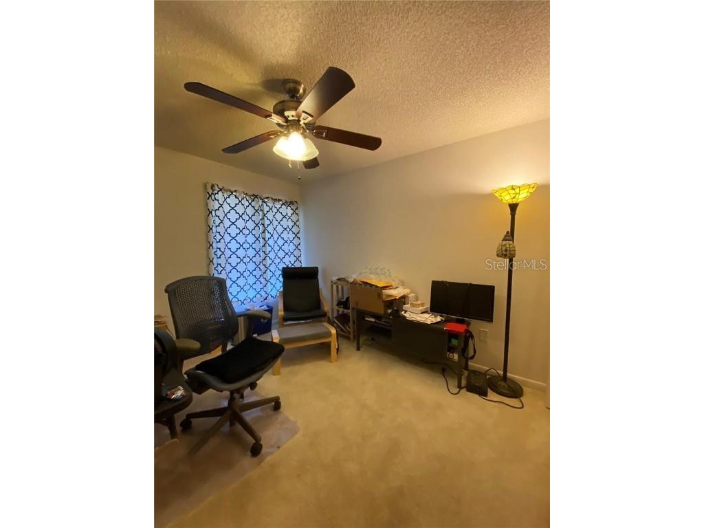 3054 Branch Drive Clearwater FL 33760 TB8430095 image16