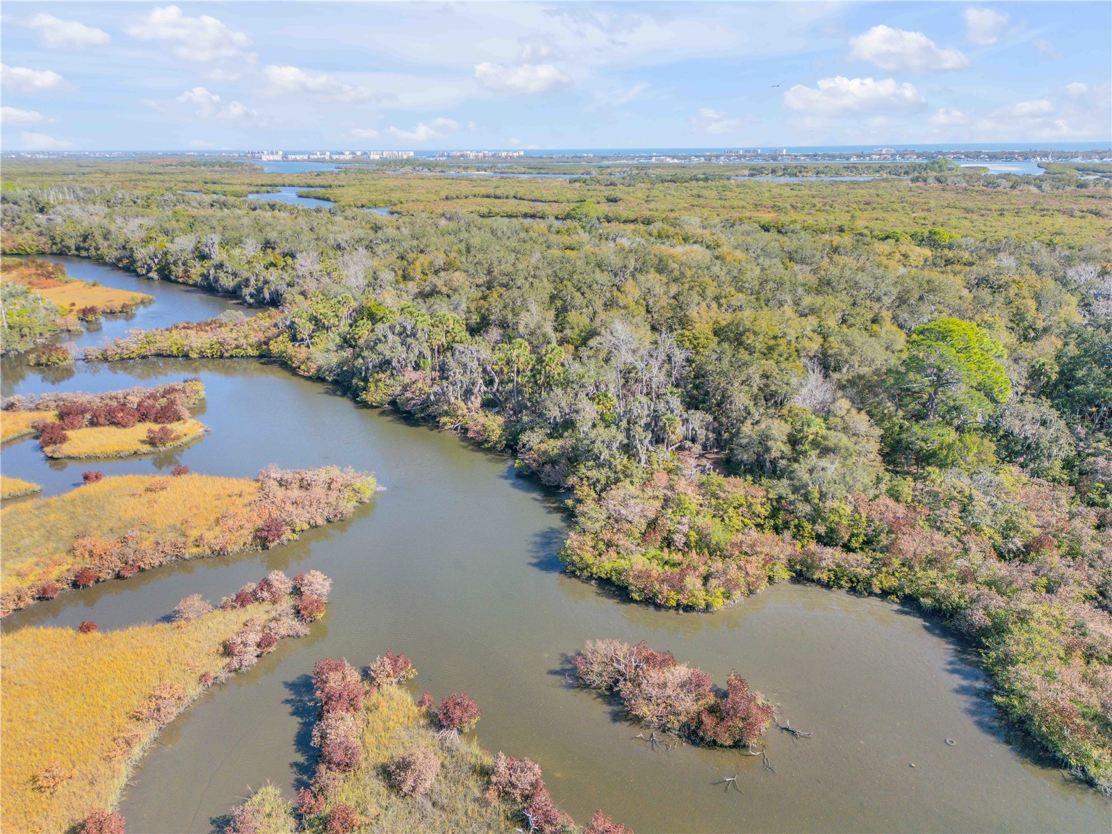 3054 N Dixie Freeway New Smyrna Beach FL 32168 - MURRAY CREEK NS1087379 image58