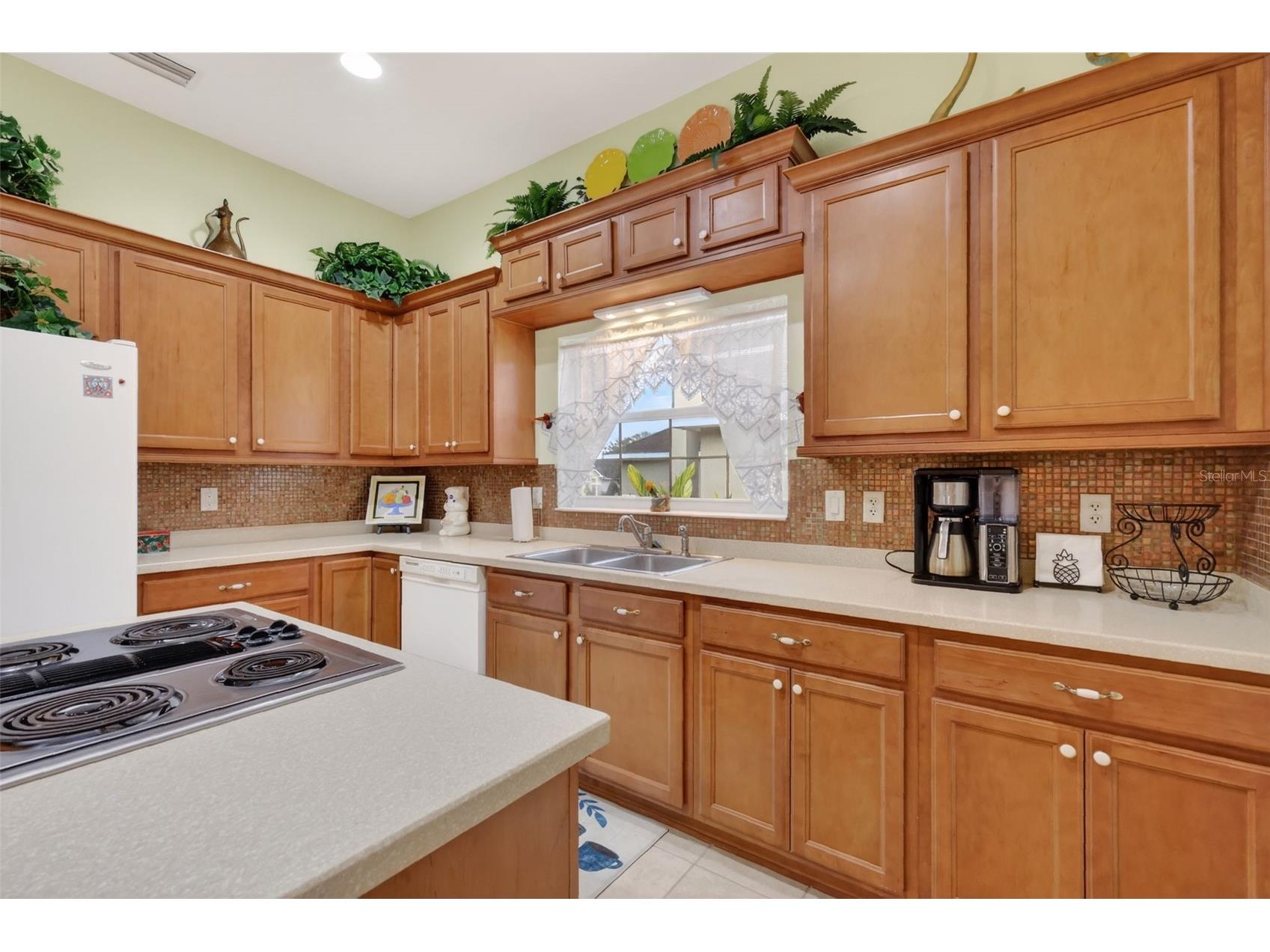 3054 New Haven Place Mount Dora FL 32757 O6373374 image21