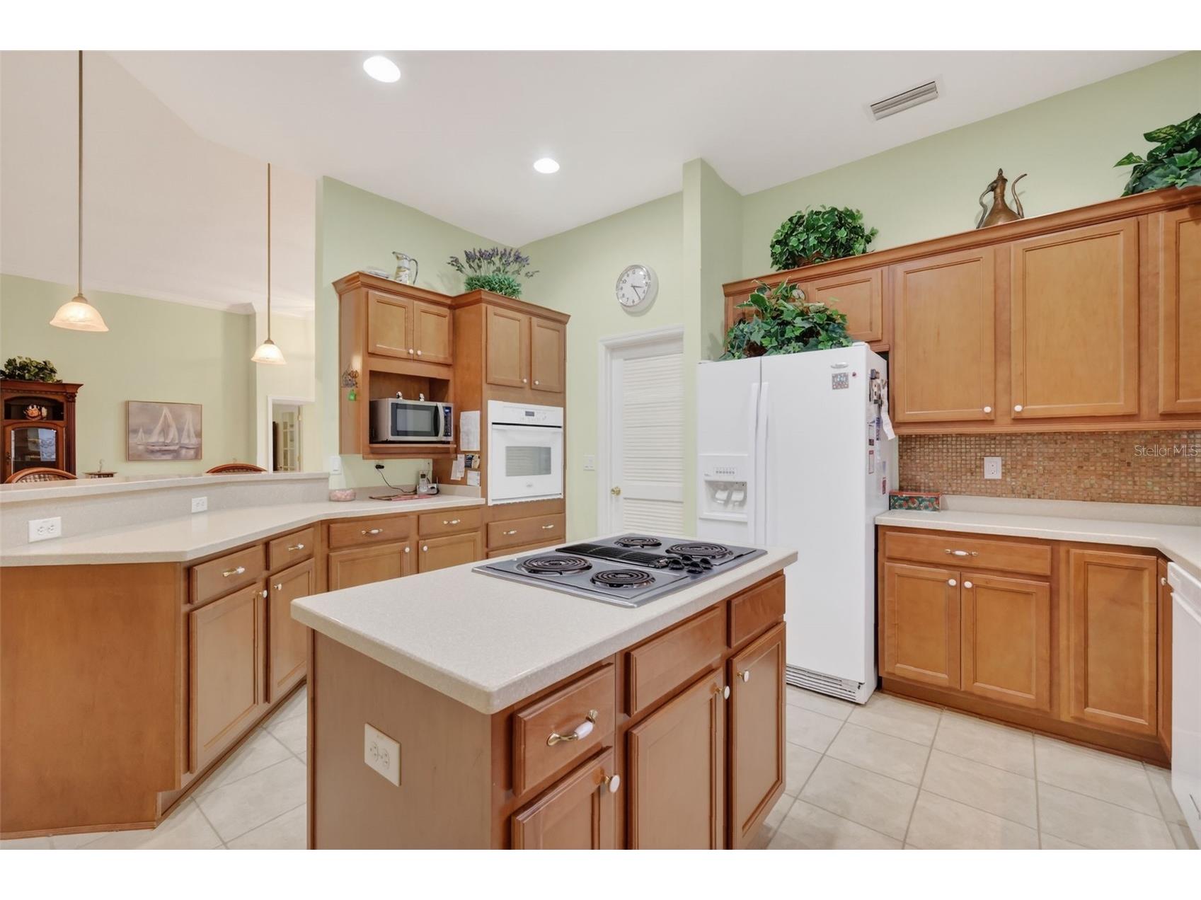 3054 New Haven Place Mount Dora FL 32757 O6373374 image22