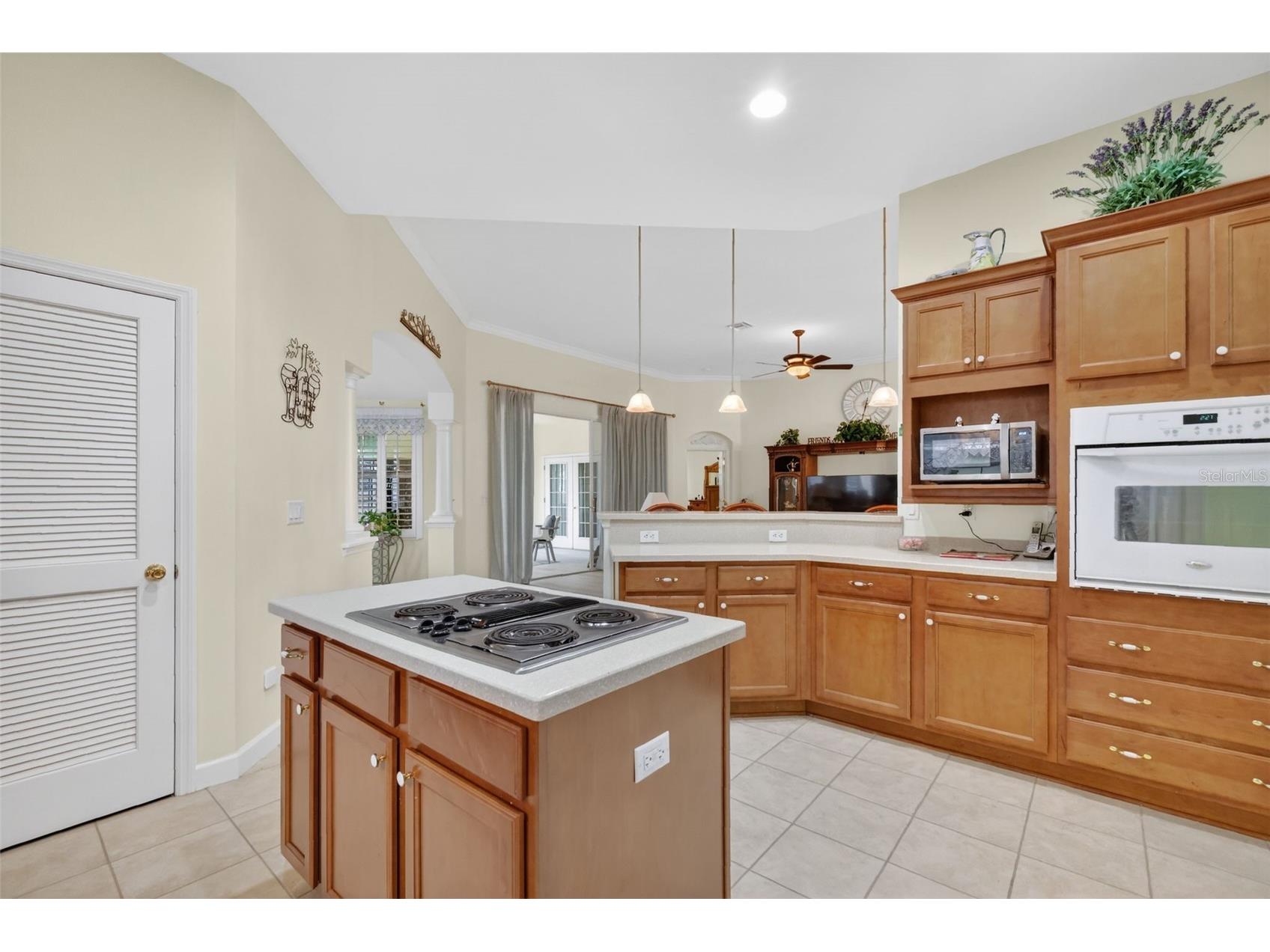 3054 New Haven Place Mount Dora FL 32757 O6373374 image23