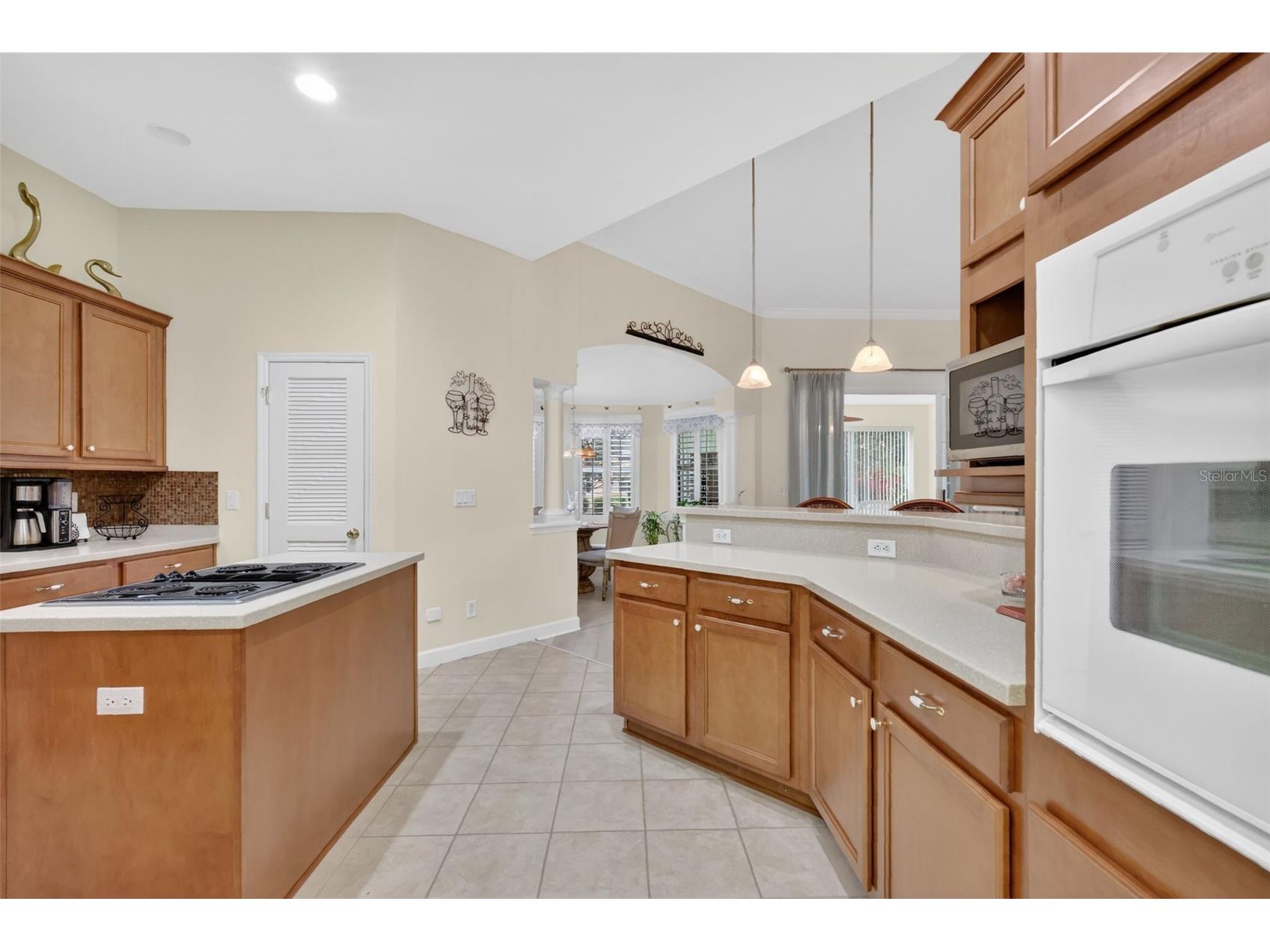3054 New Haven Place Mount Dora FL 32757 O6373374 image24
